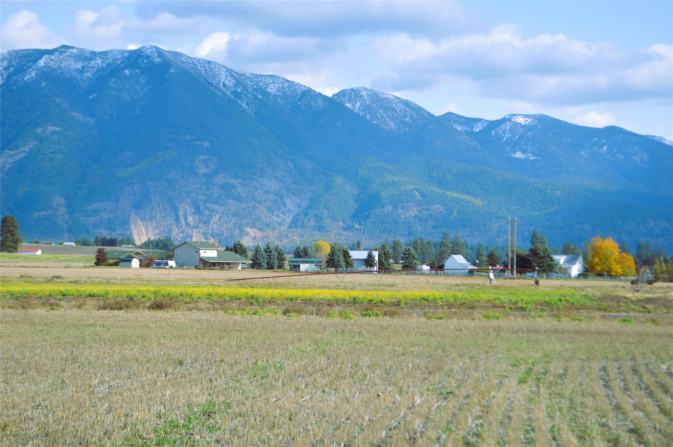 2054 Homestead Trail