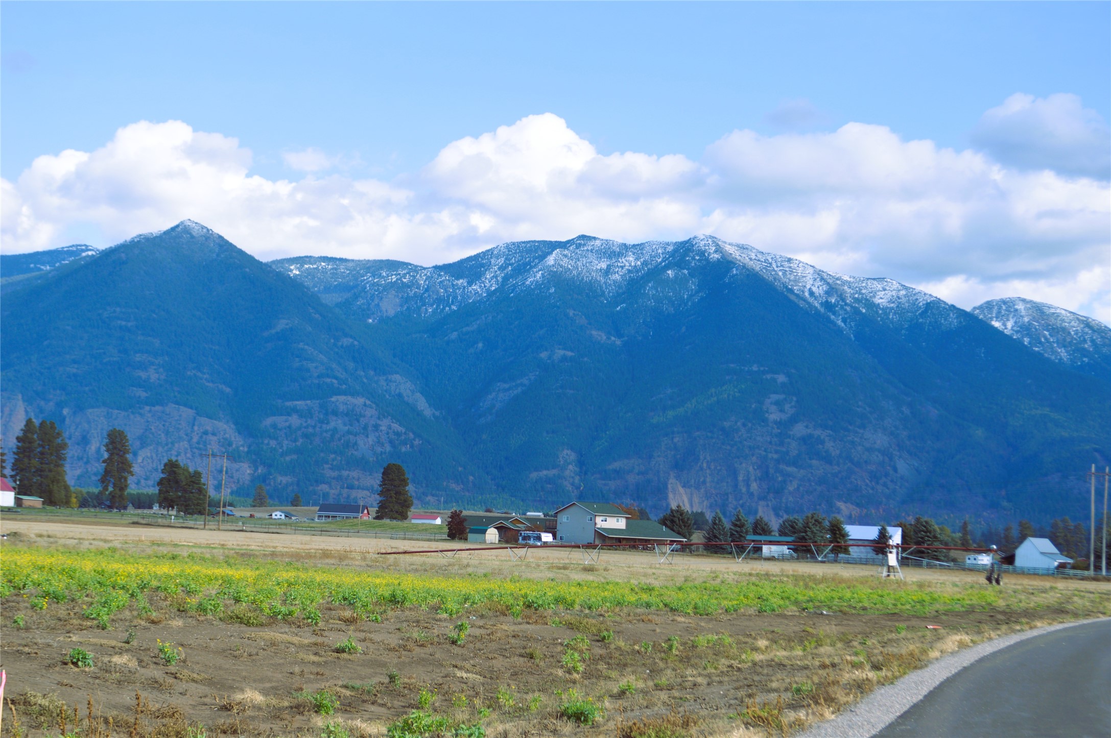 2054 Homestead Trail