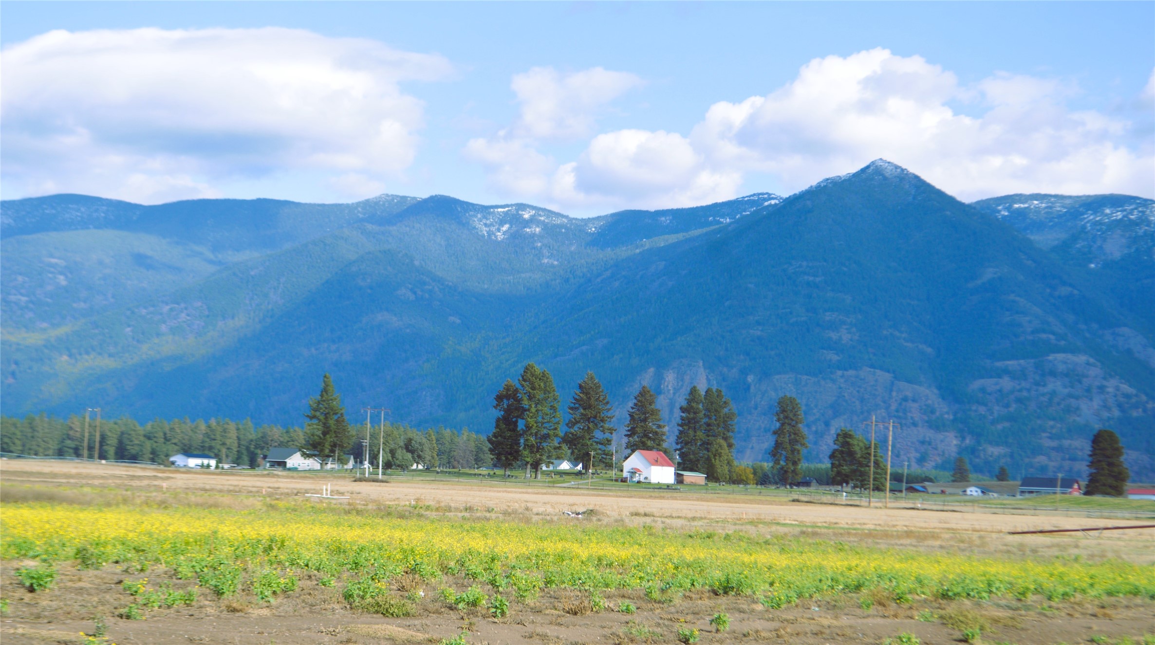 2054 Homestead Trail