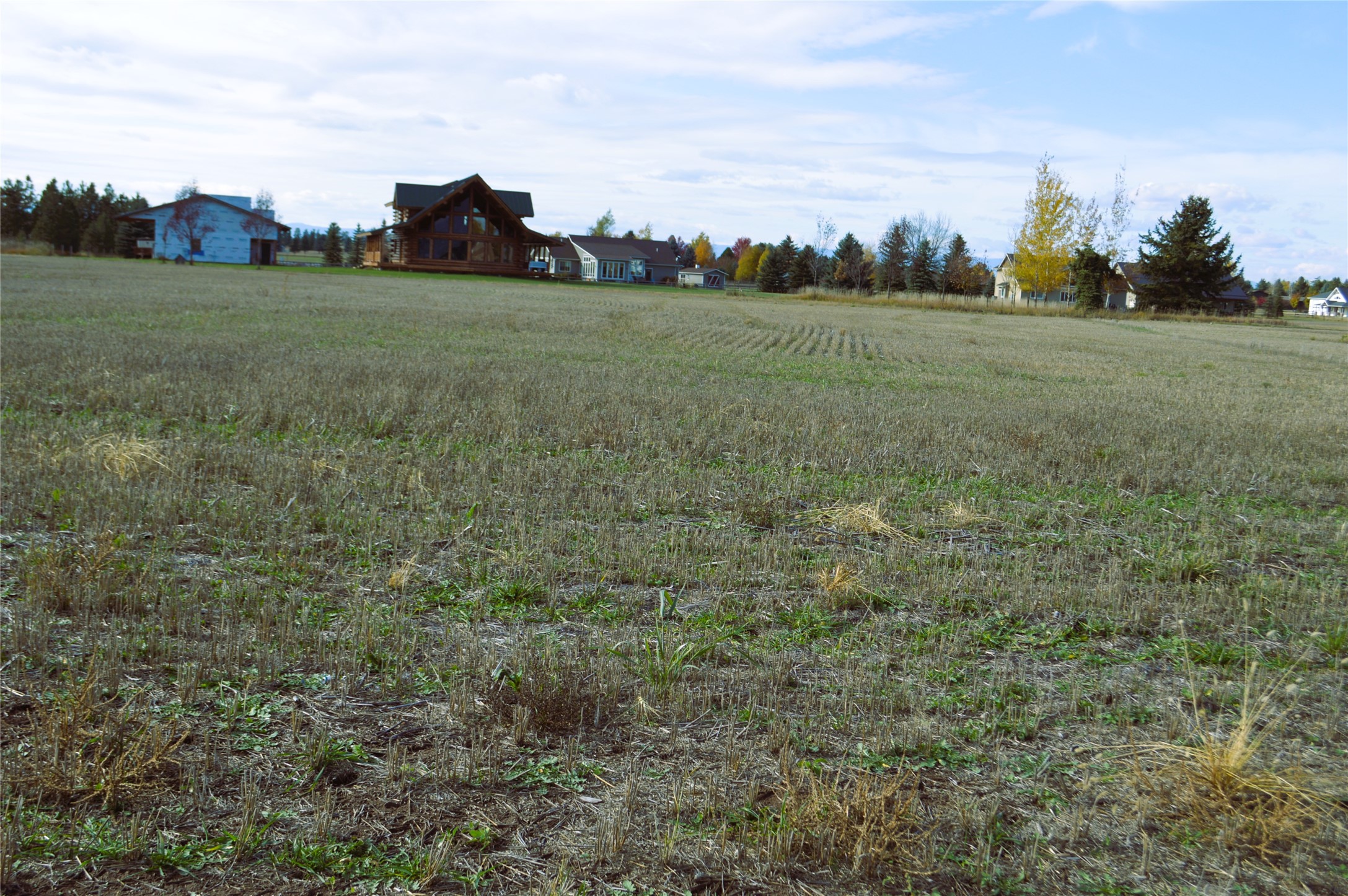 2054 Homestead Trail