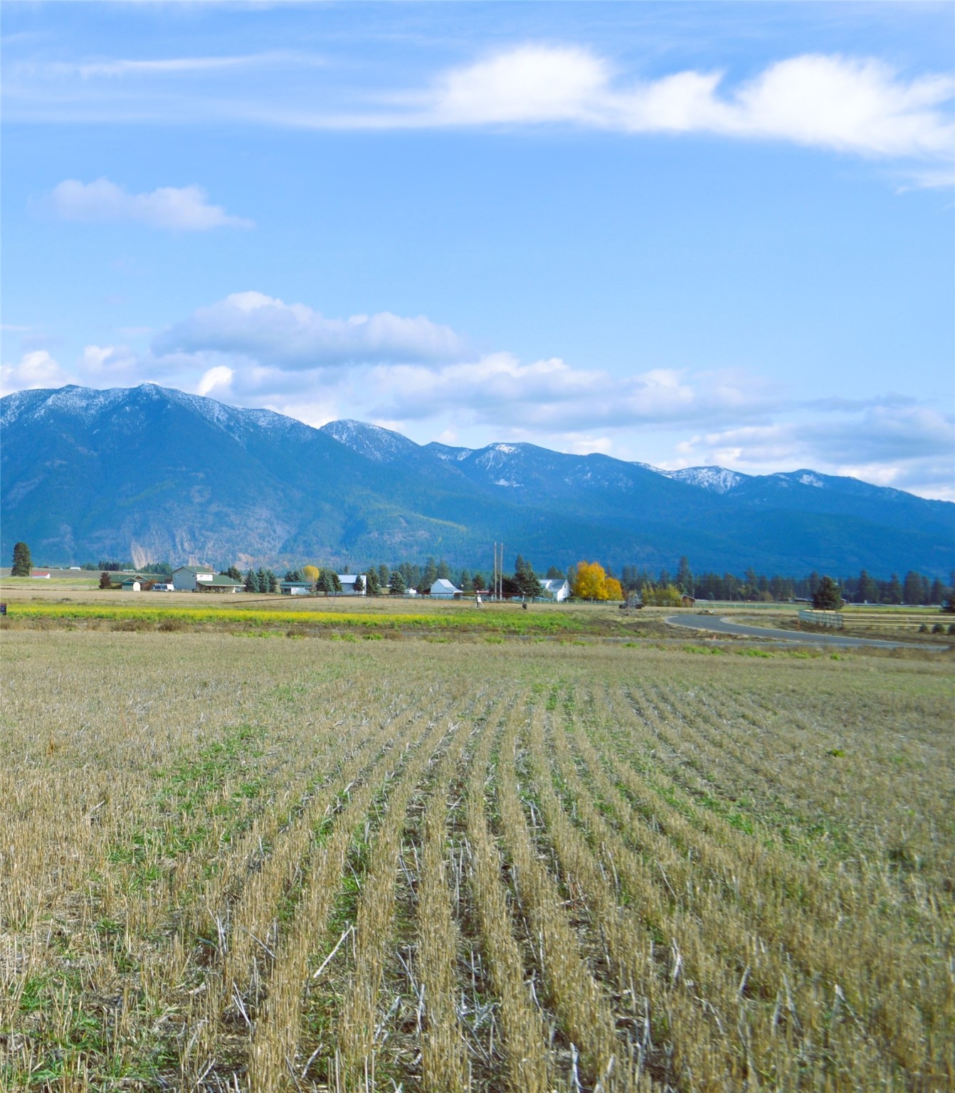 2054 Homestead Trail