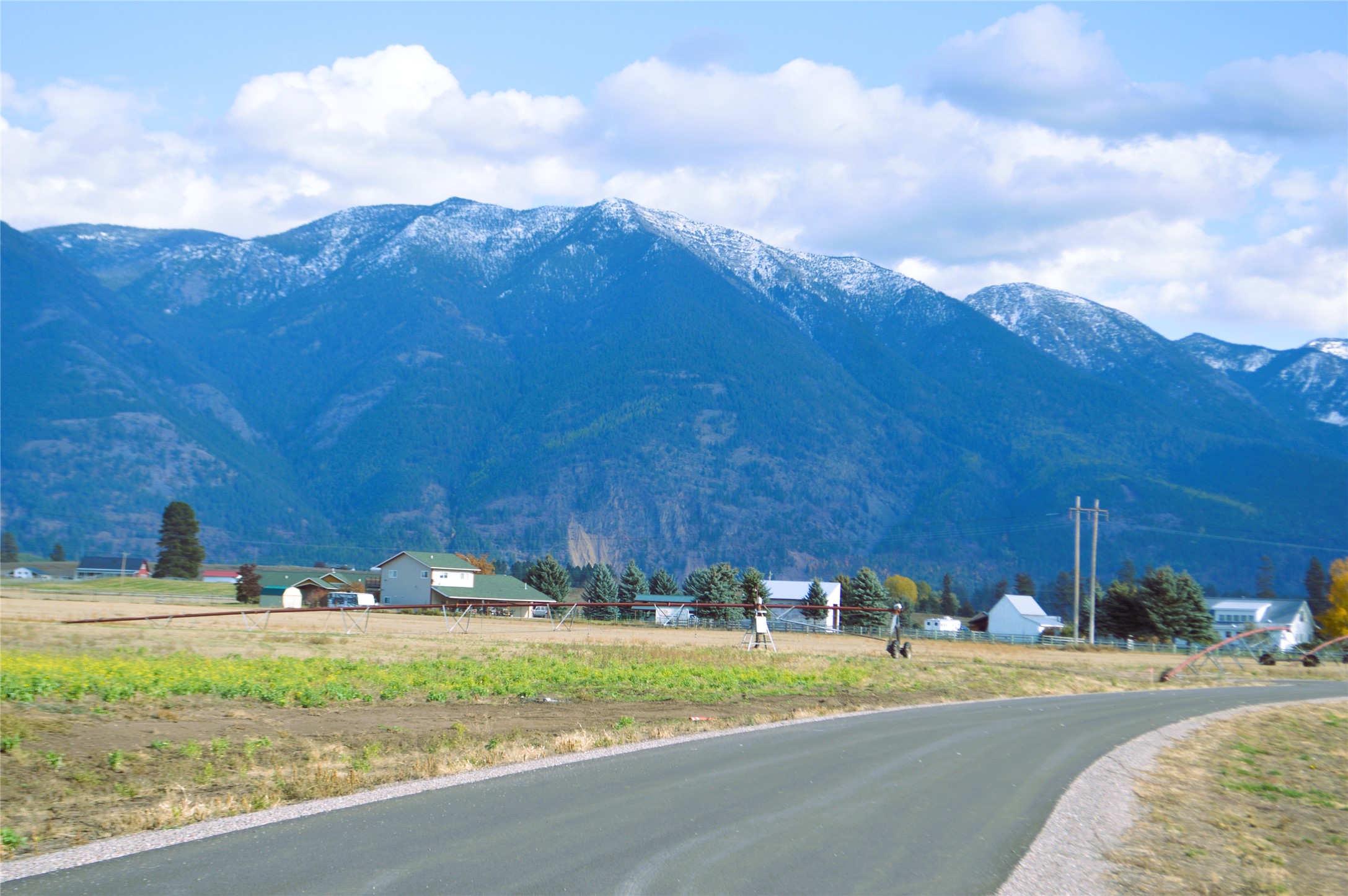 2054 Homestead Trail