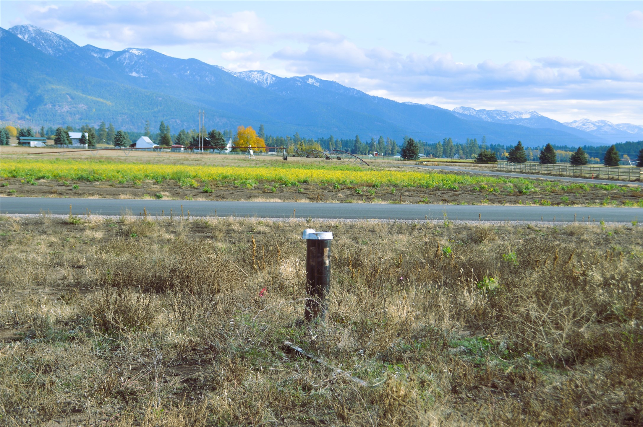 2054 Homestead Trail