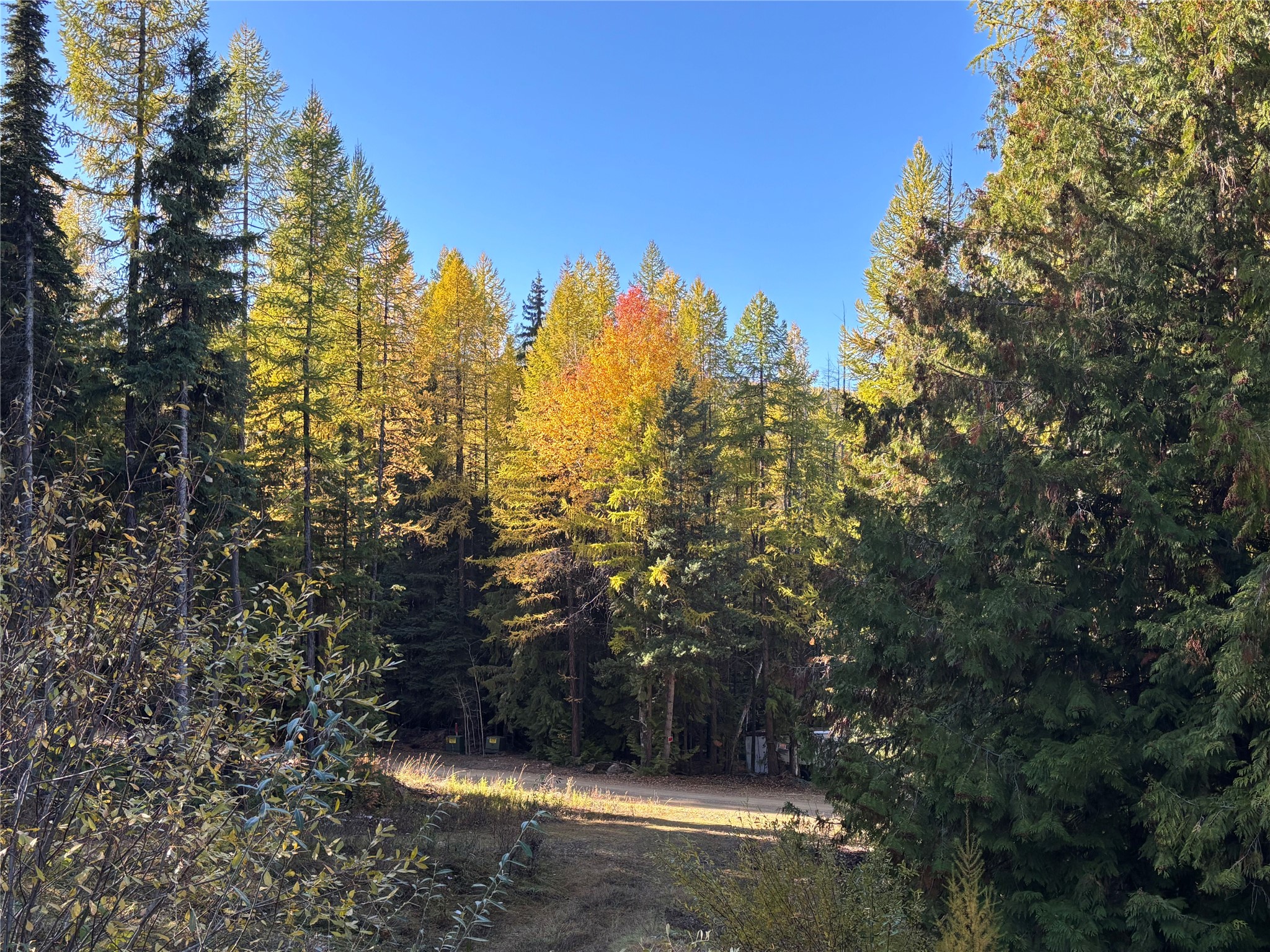 1089 Cedar Hills Road