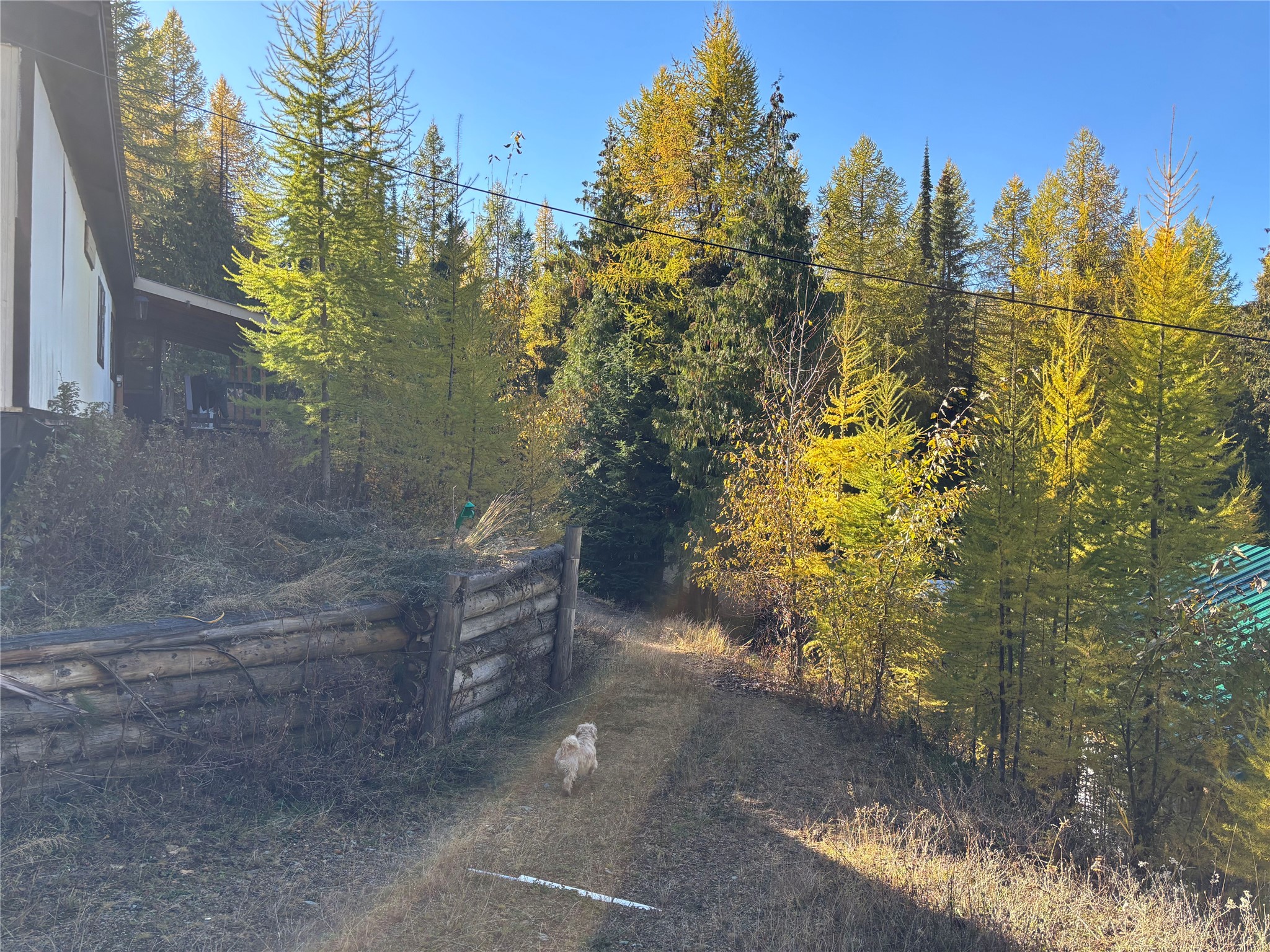 1089 Cedar Hills Road