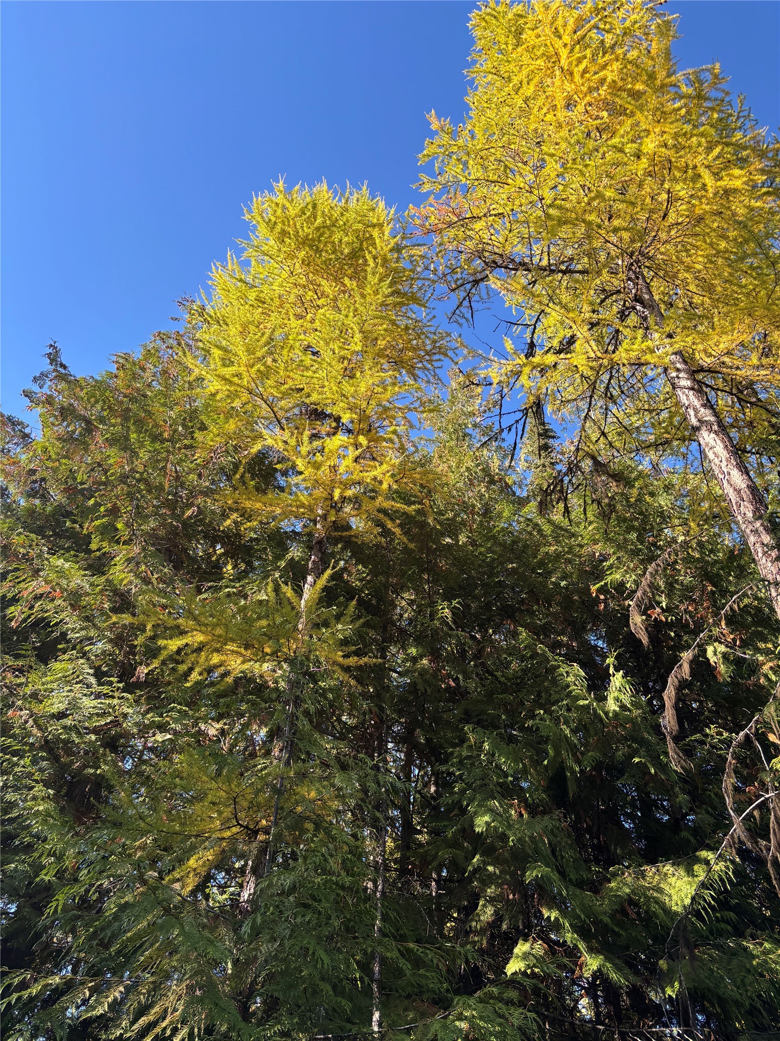 1089 Cedar Hills Road