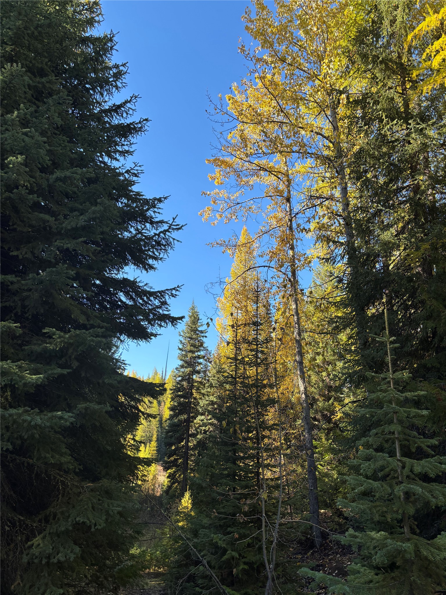 1089 Cedar Hills Road