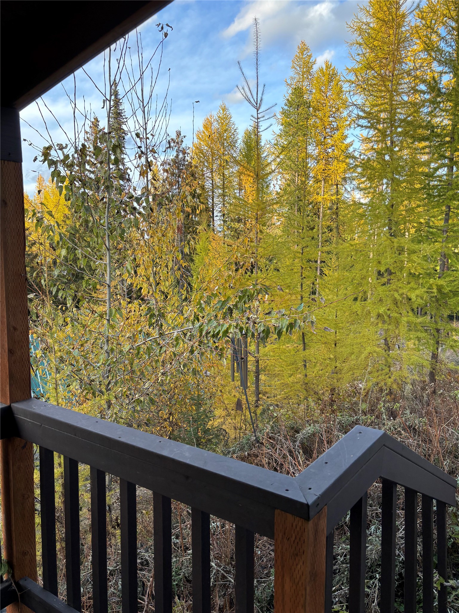 1089 Cedar Hills Road