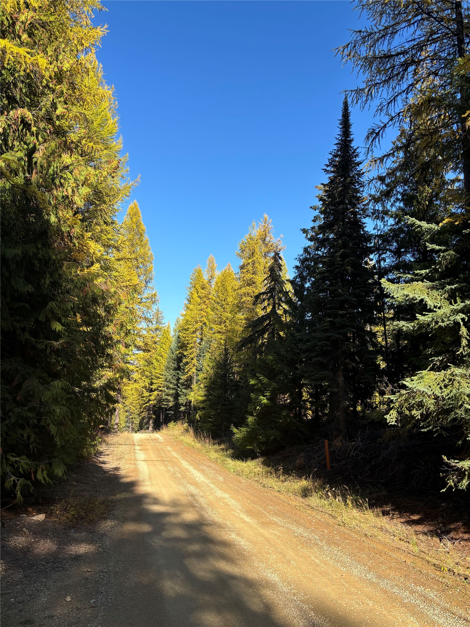 1089 Cedar Hills Road