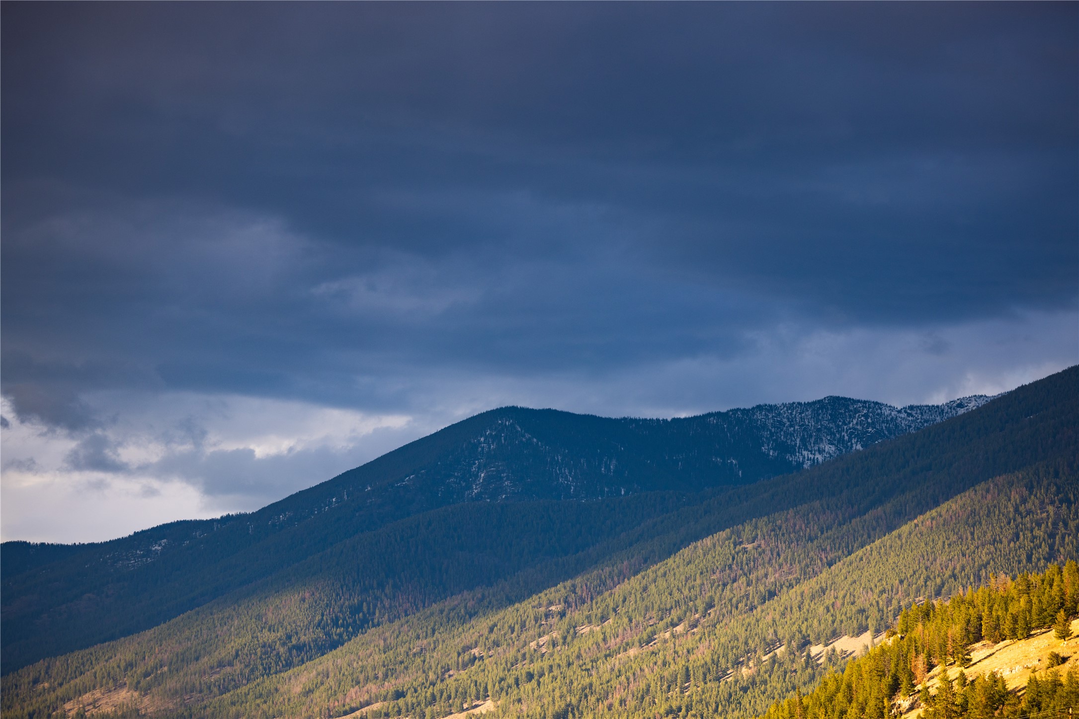 50 Diluvium Court Lot 5