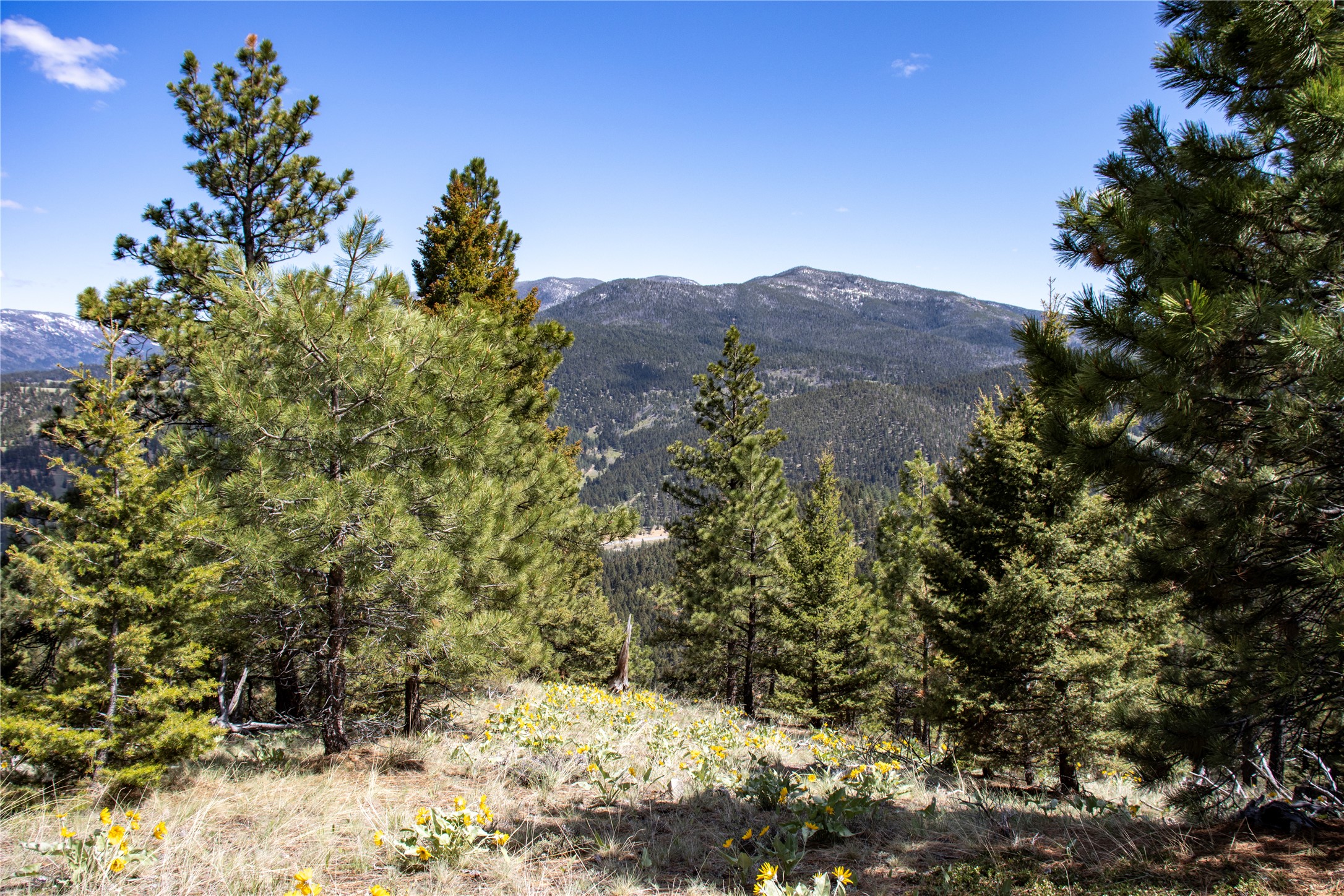 TBD Elkhorn Mountain View Road