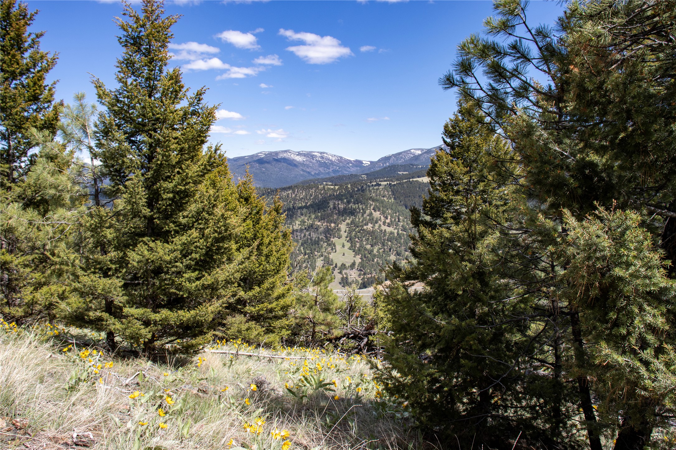 TBD Elkhorn Mountain View Road