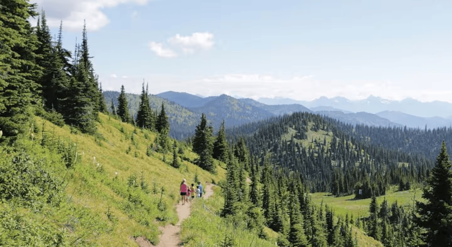 303 Wood Run Drive A