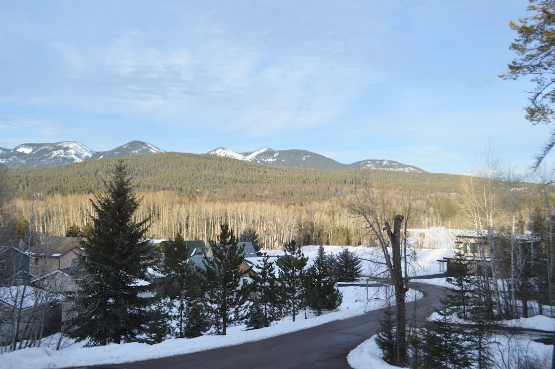 968 Colorado Avenue B