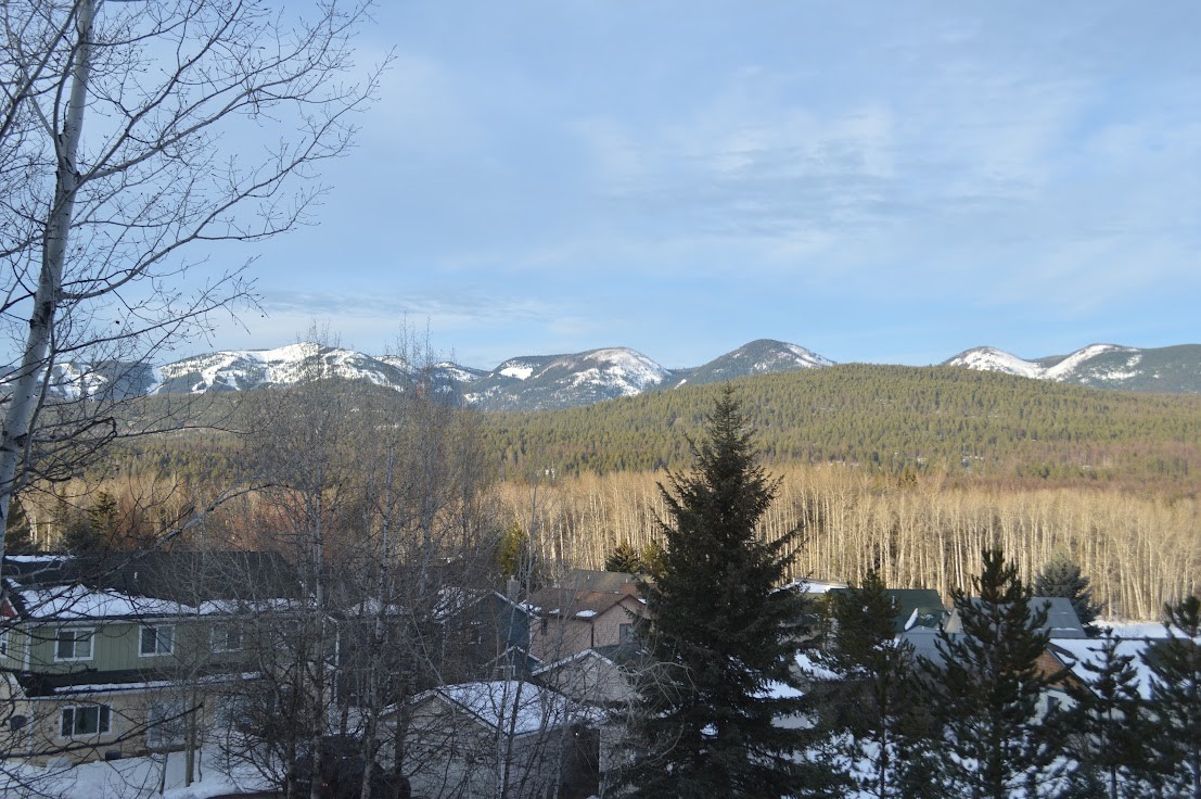 968 Colorado Avenue B