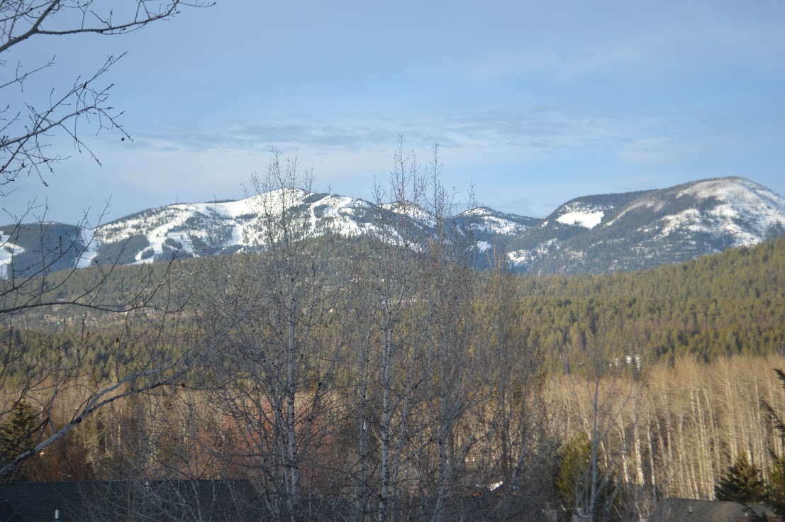 968 Colorado Avenue B