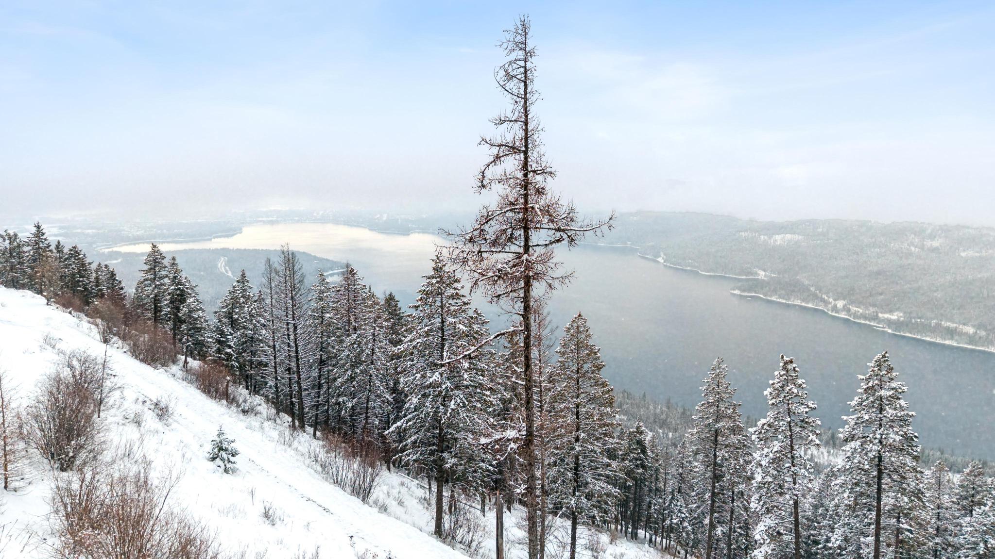 218 Elk Highlands Drive