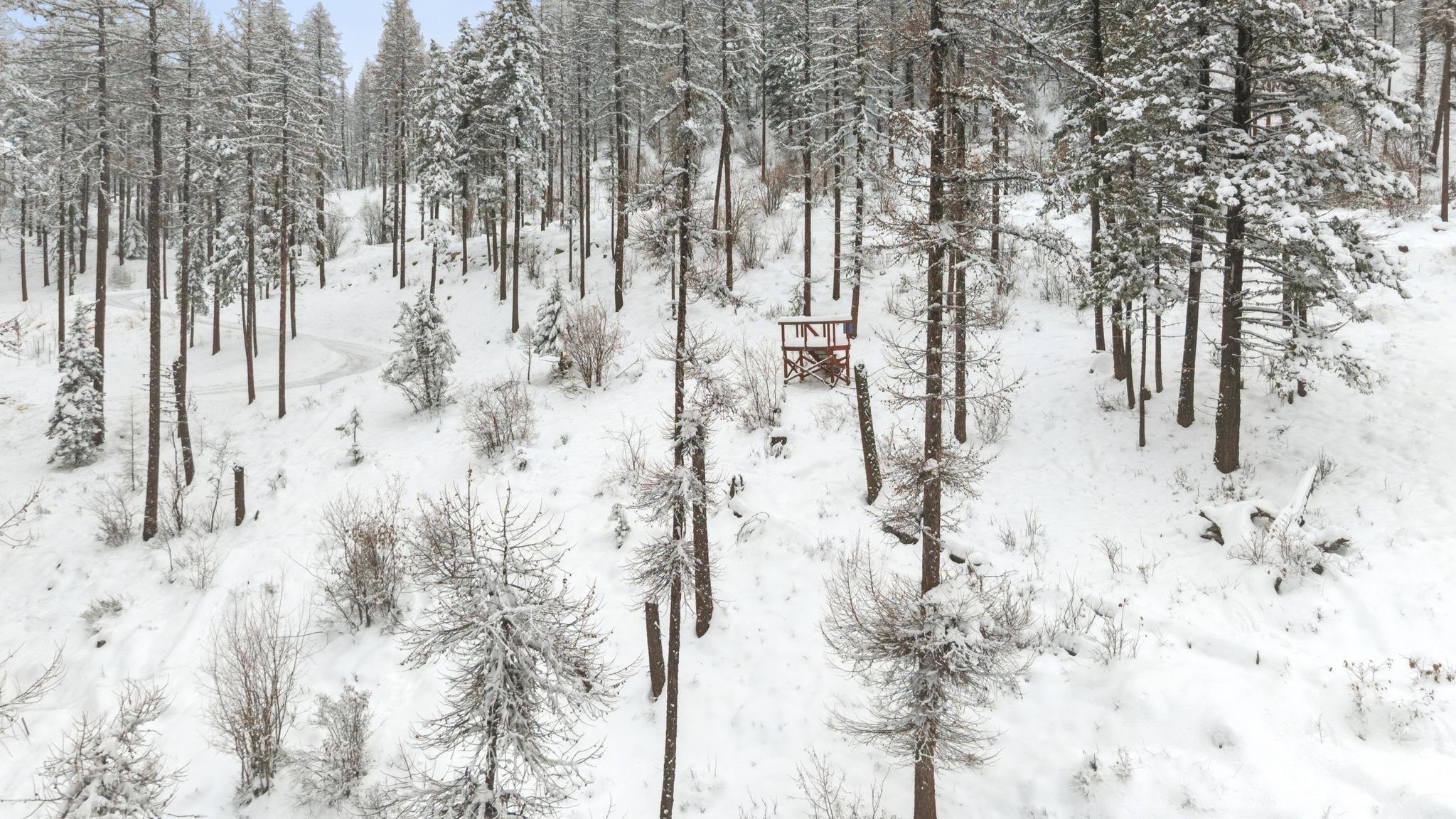 218 Elk Highlands Drive