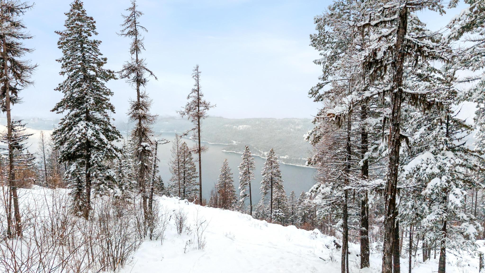 218 Elk Highlands Drive