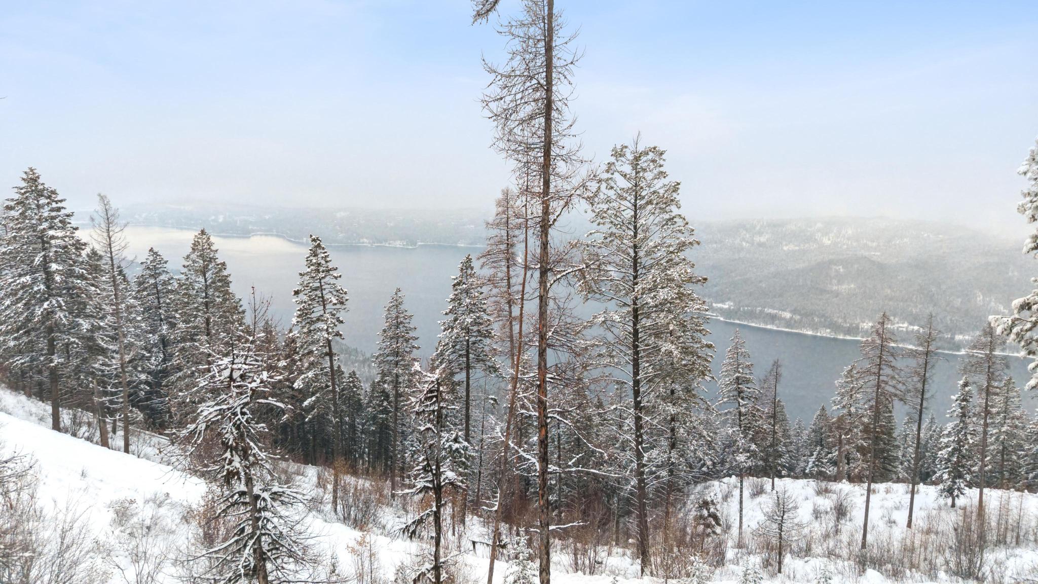 218 Elk Highlands Drive