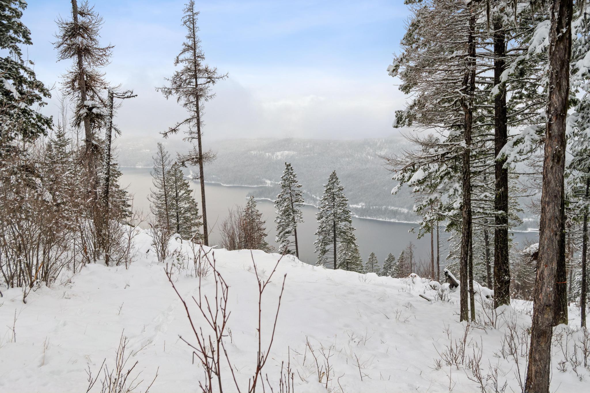 218 Elk Highlands Drive