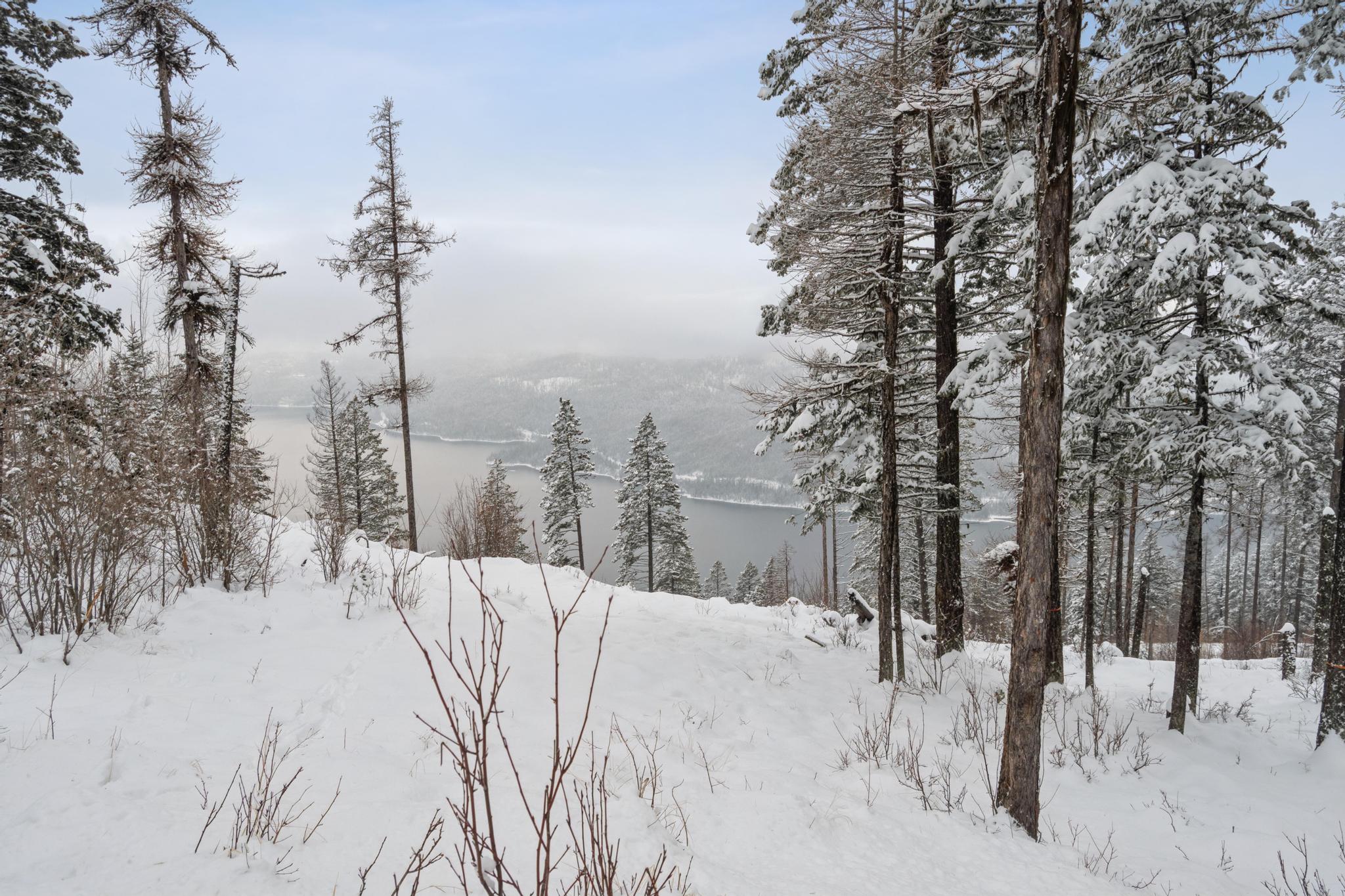 218 Elk Highlands Drive