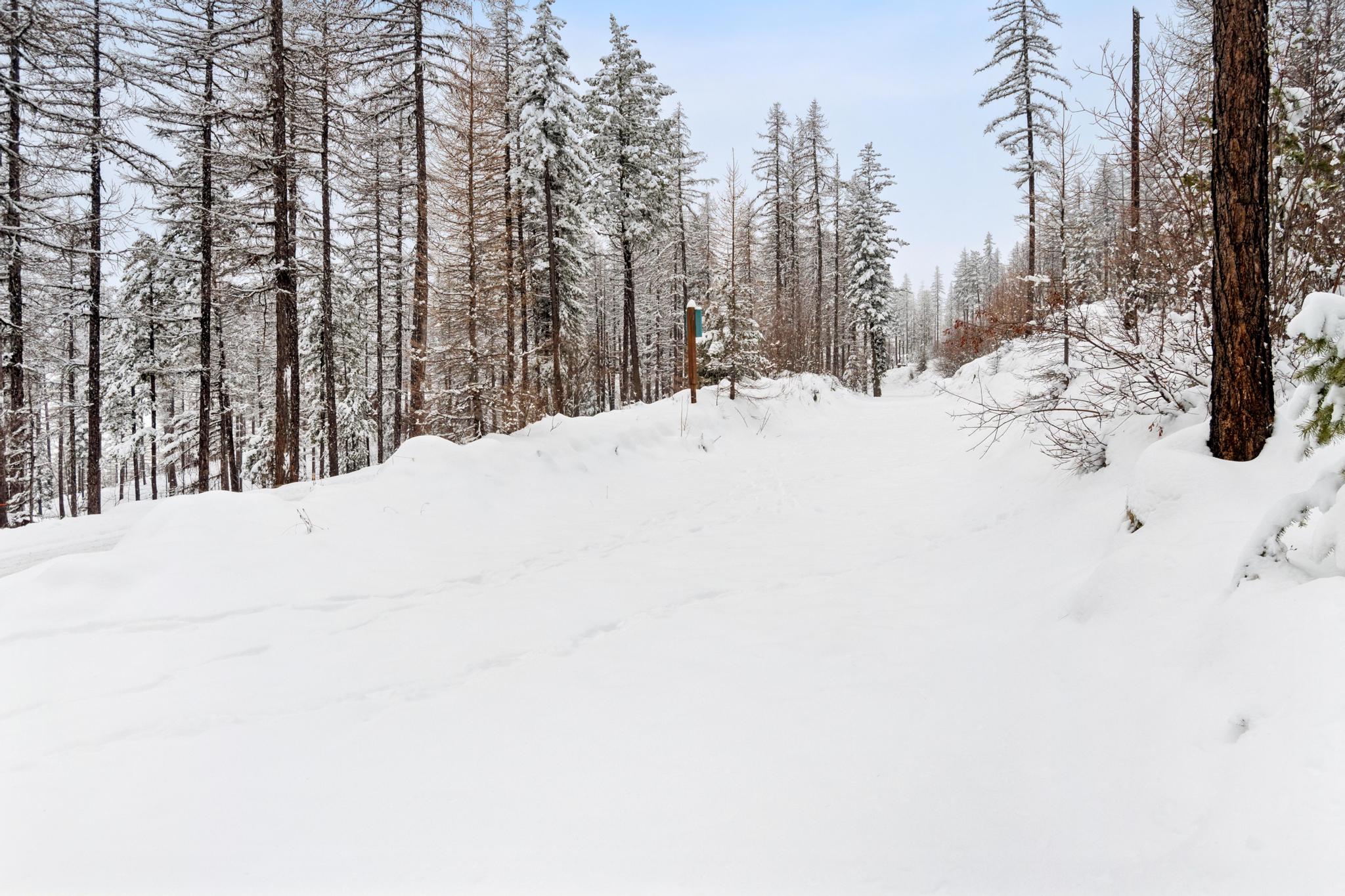 218 Elk Highlands Drive