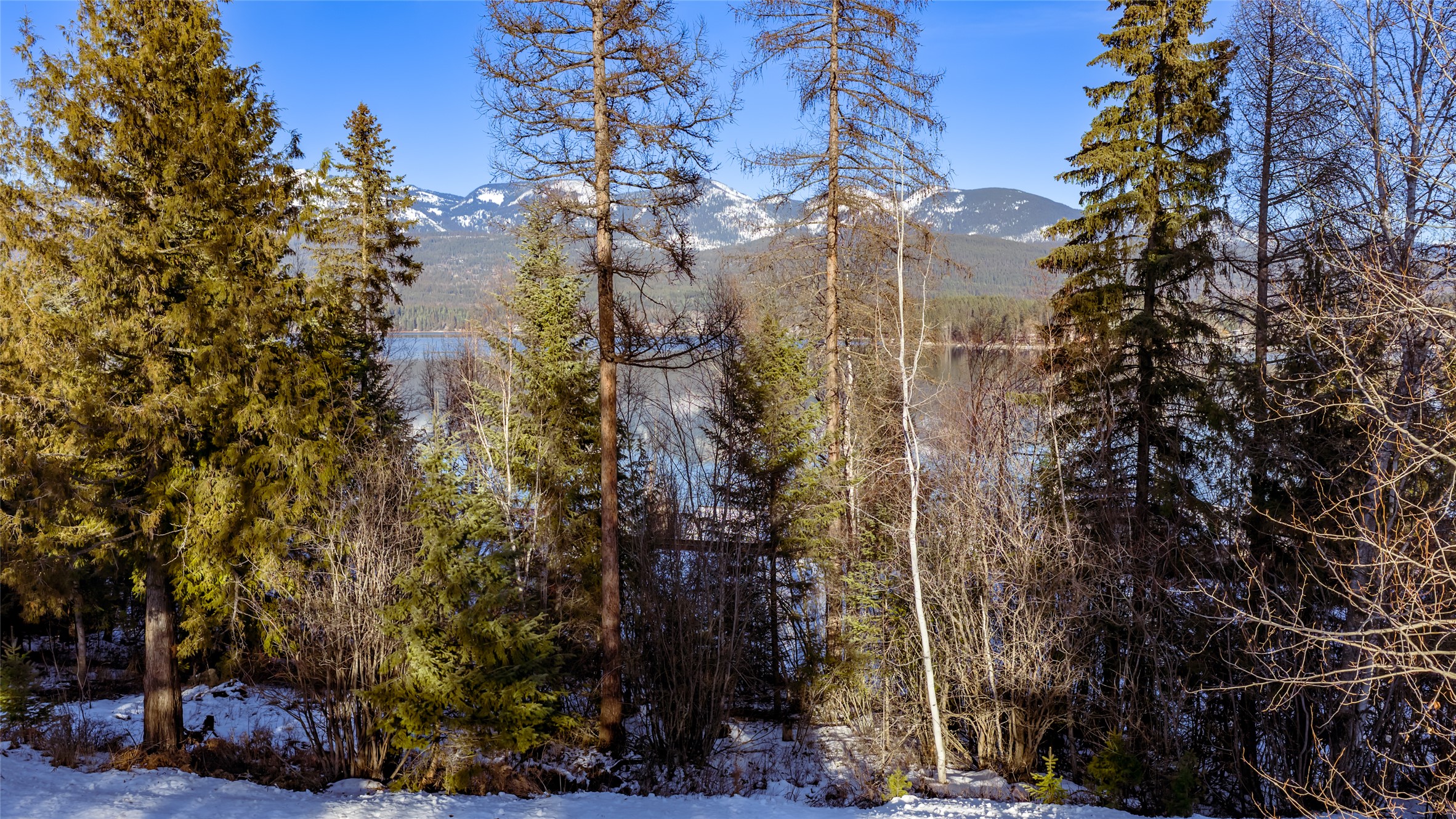 NHN 1A Masters Court