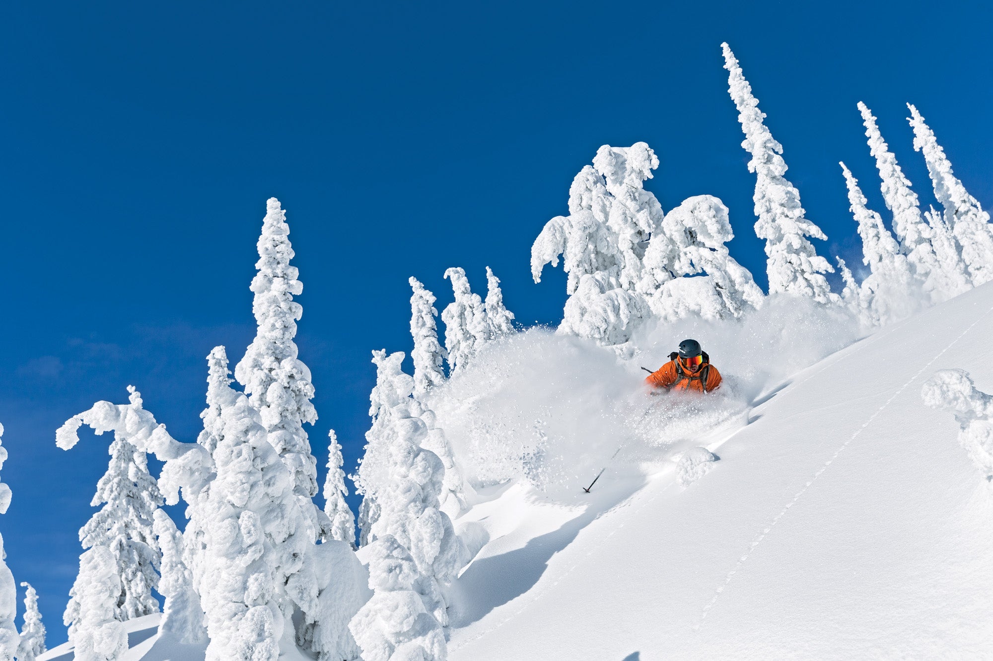 3889 Big Mountain Road 302