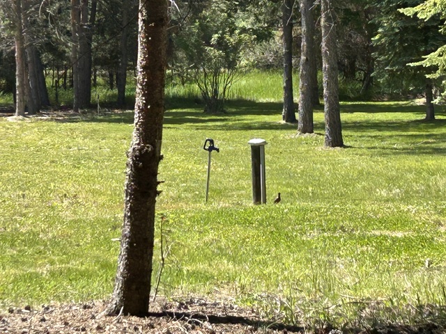 72 Pilots Trail