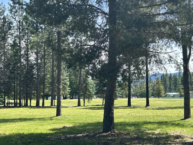 72 Pilots Trail