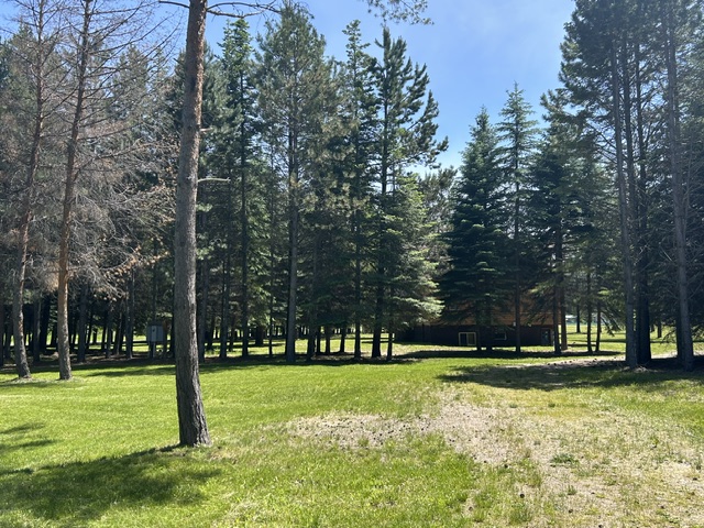 72 Pilots Trail