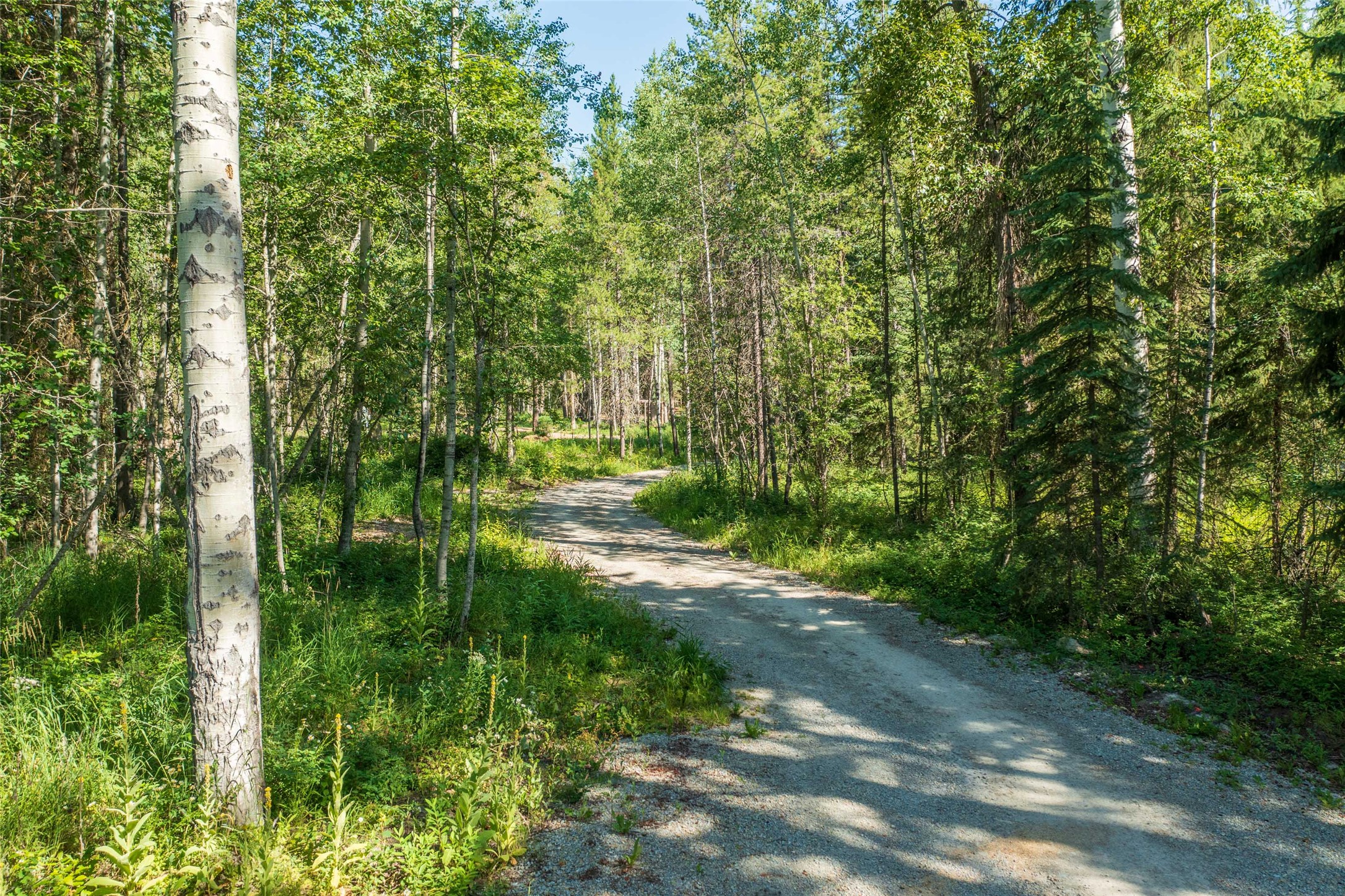 5374 Us Highway 93 W