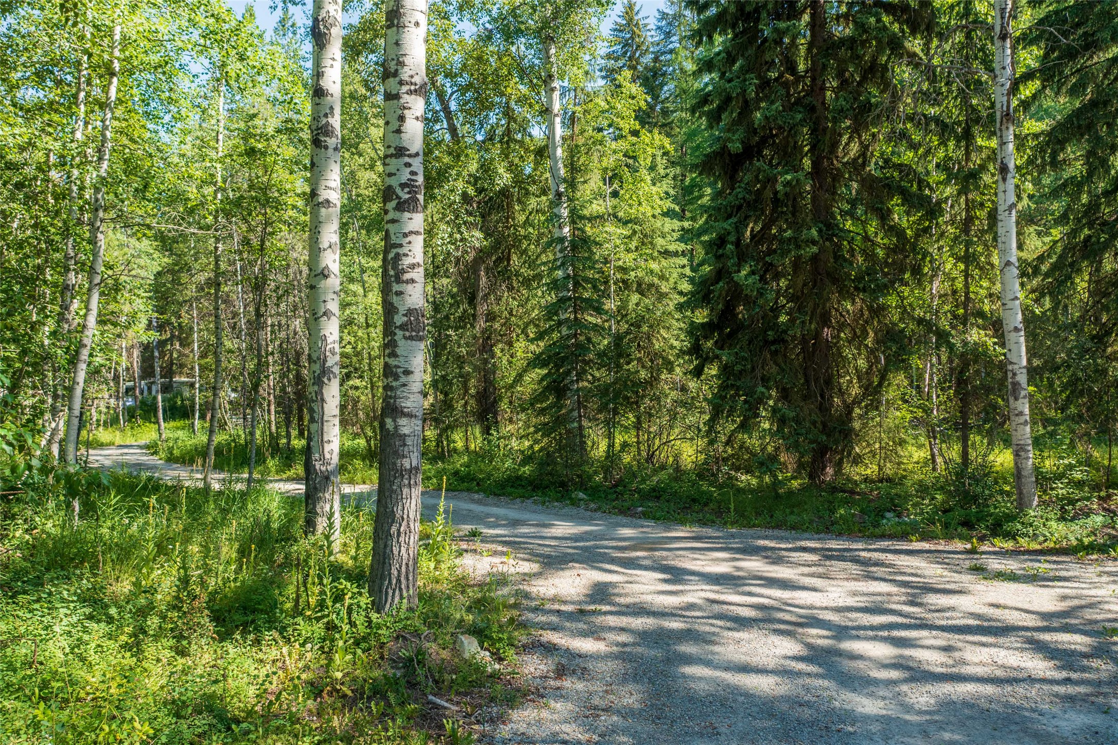 5374 Us Highway 93 W