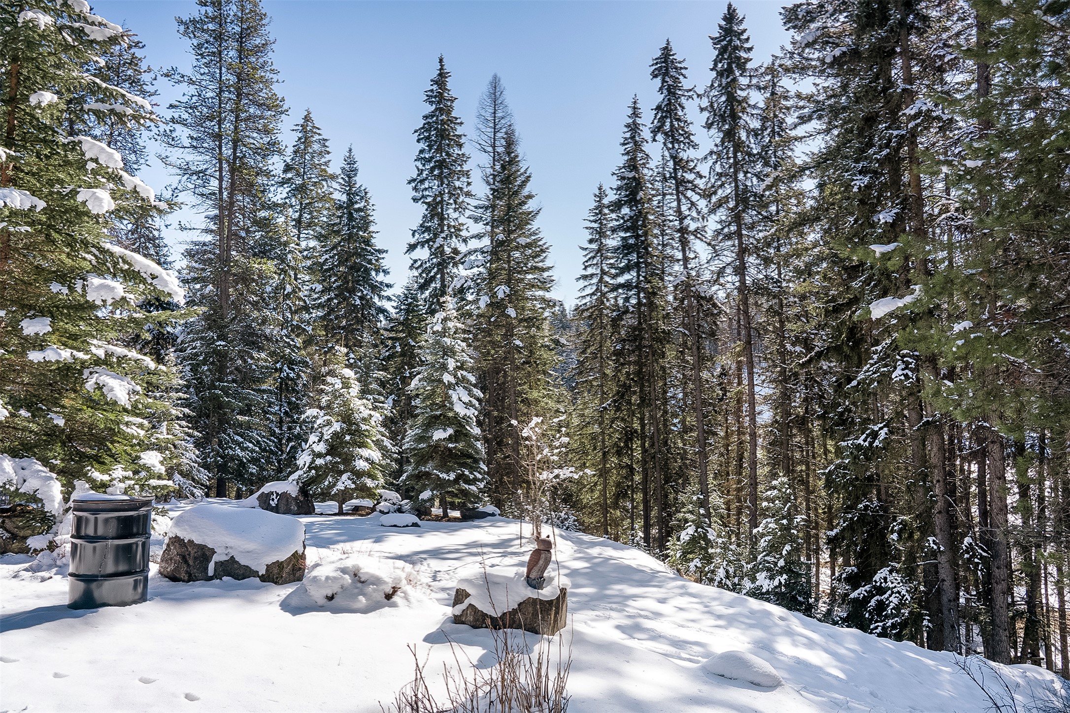 135 Little Mountain Road