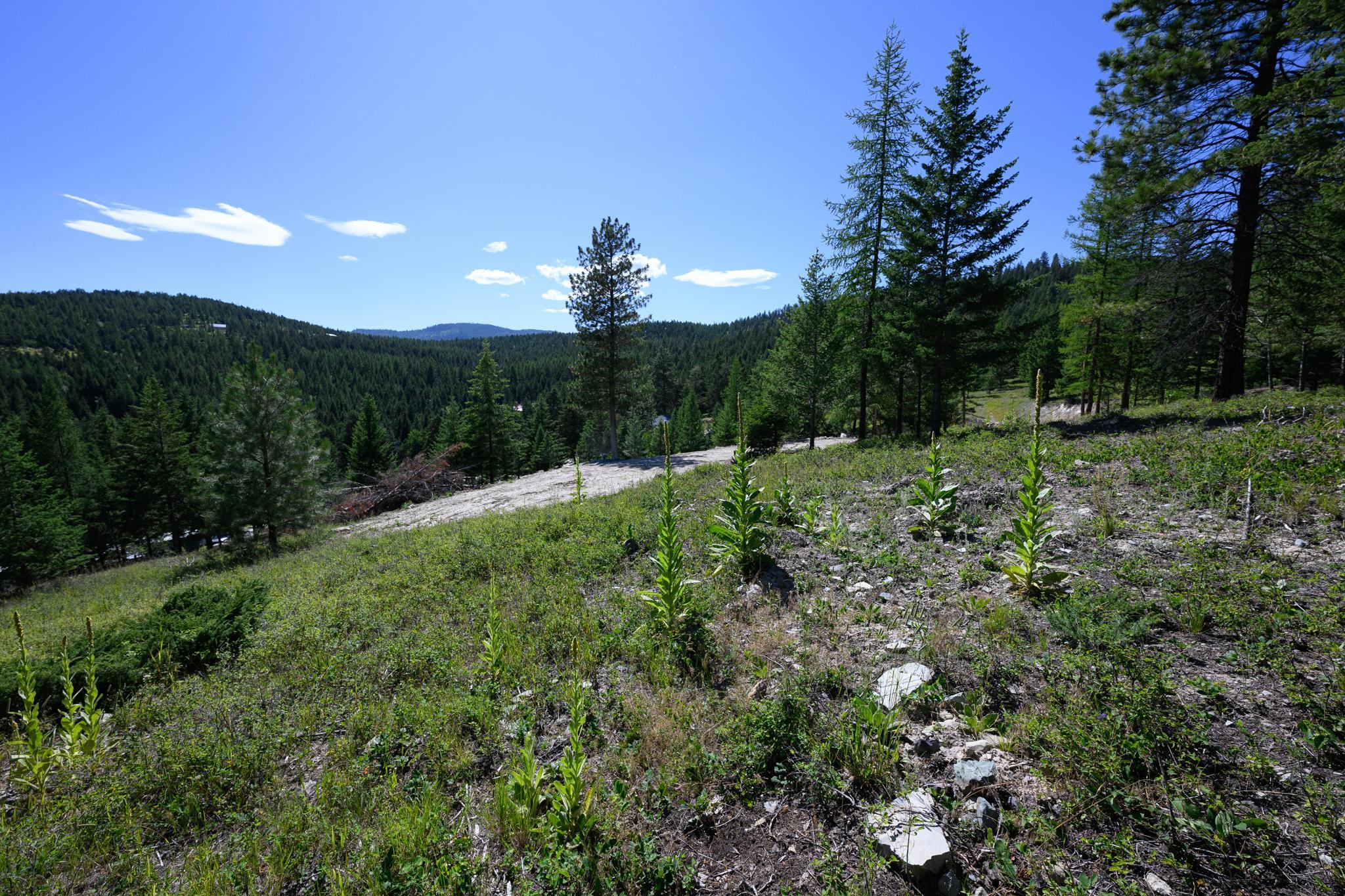 359 Copper Road