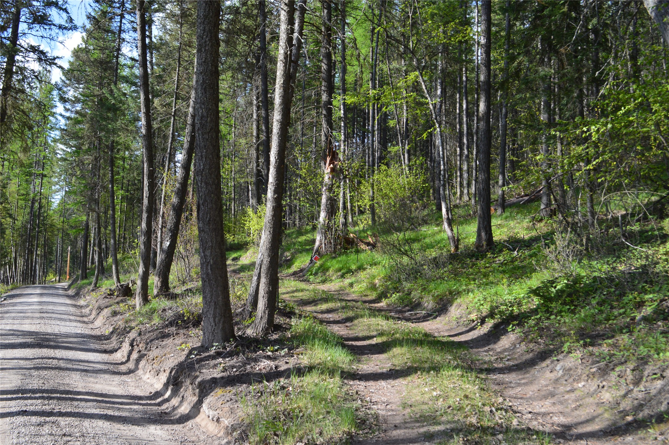 630 Leksand Trail