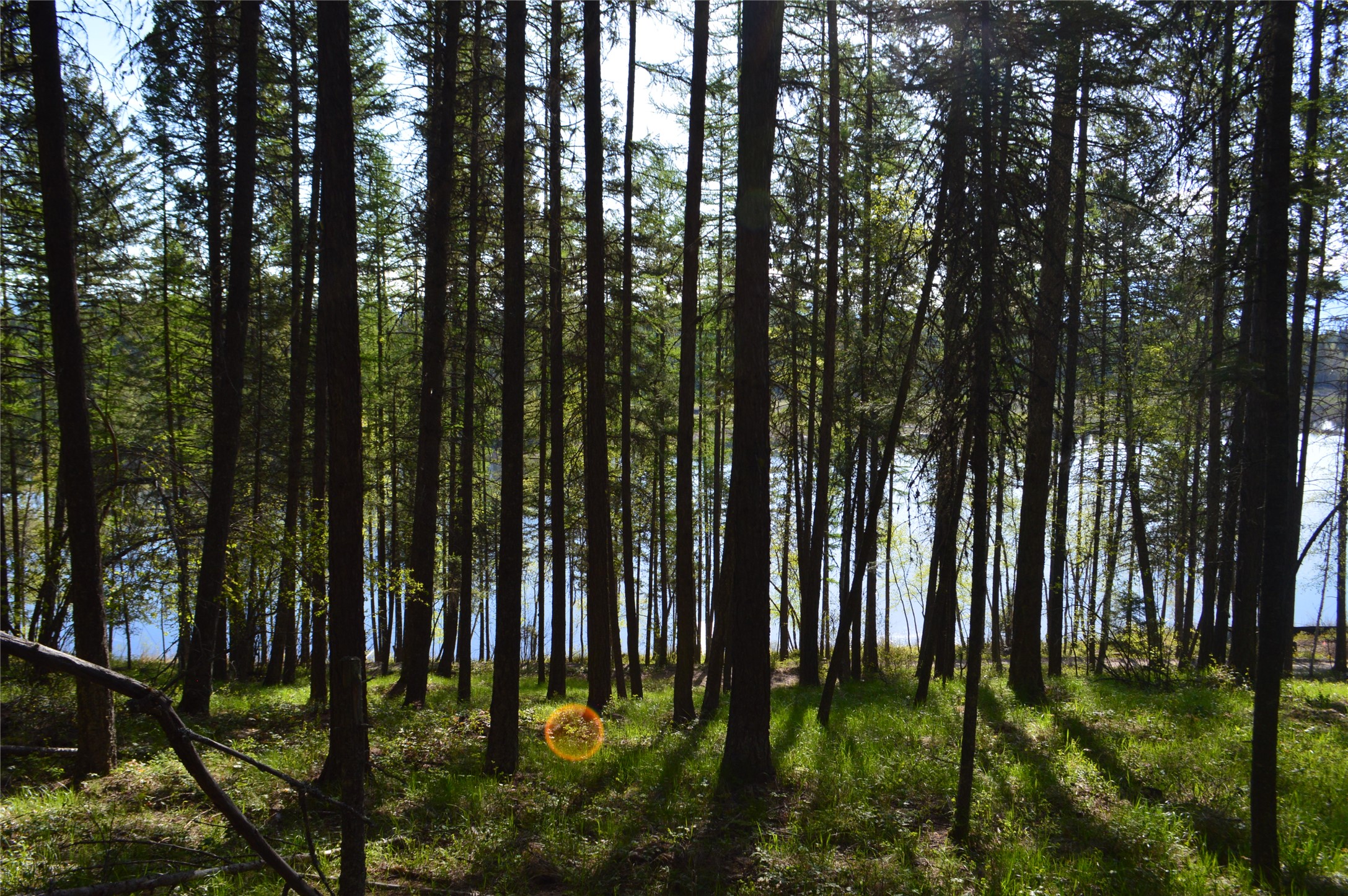 630 Leksand Trail