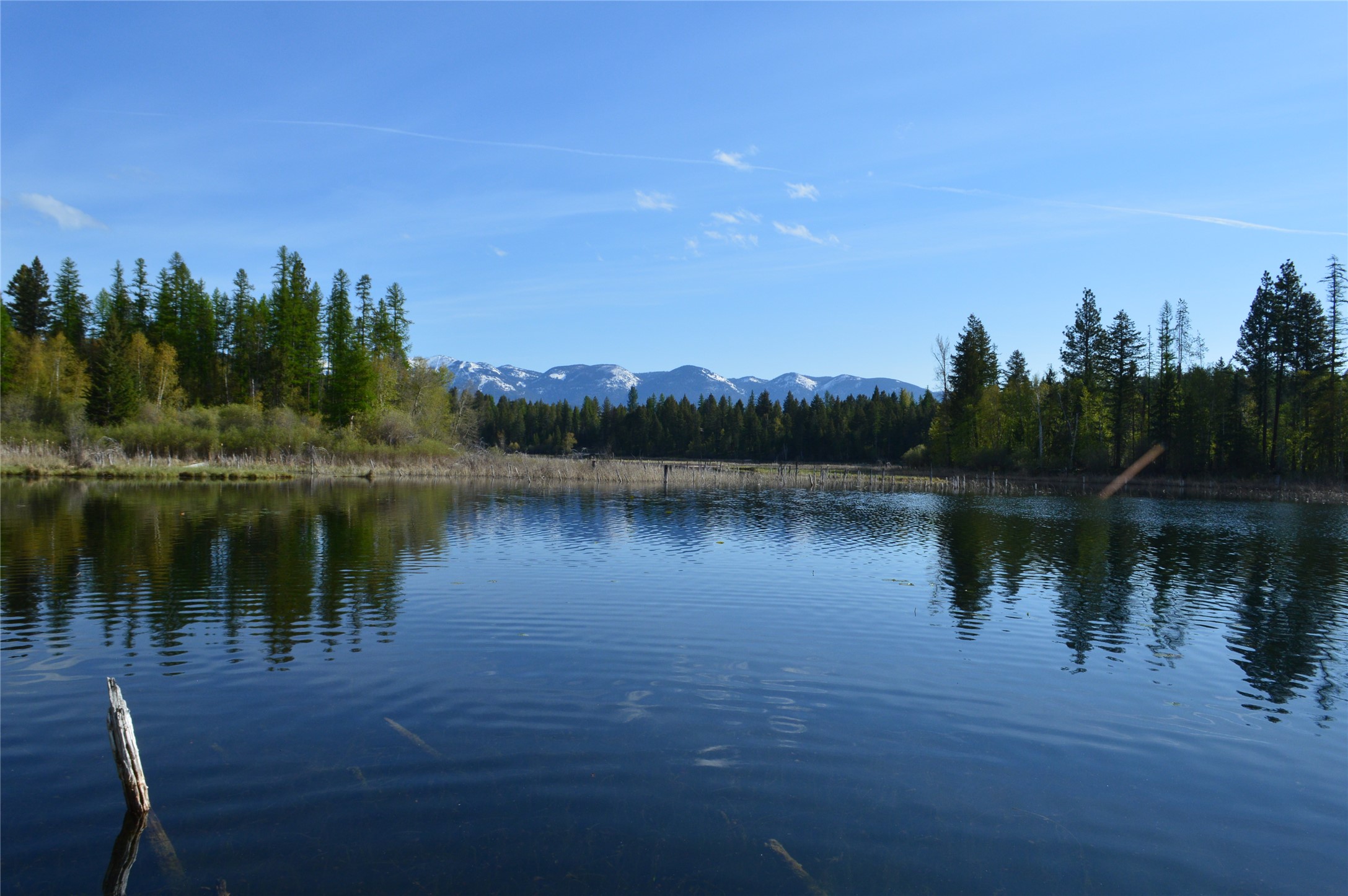 630 Leksand Trail