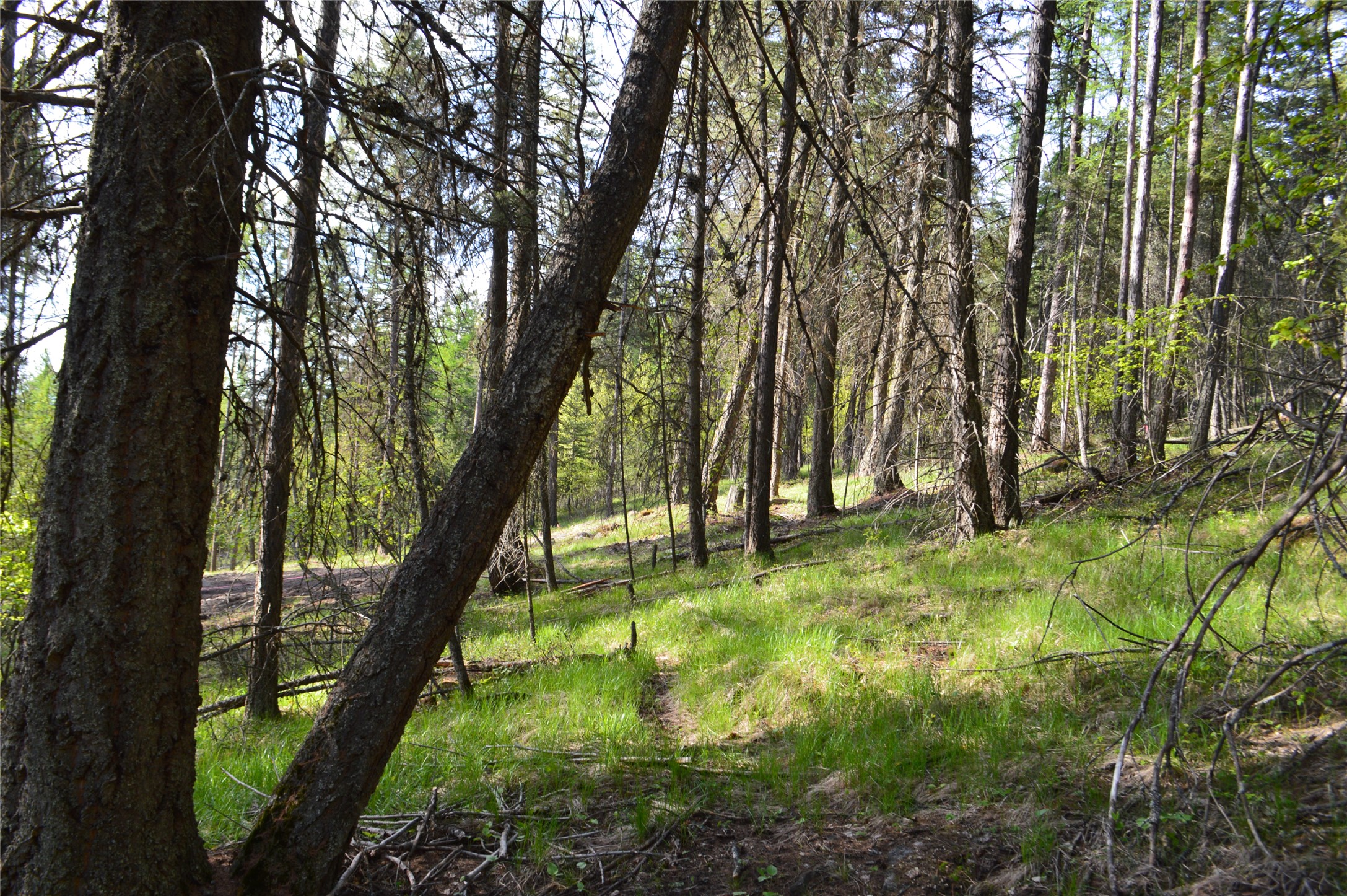 630 Leksand Trail