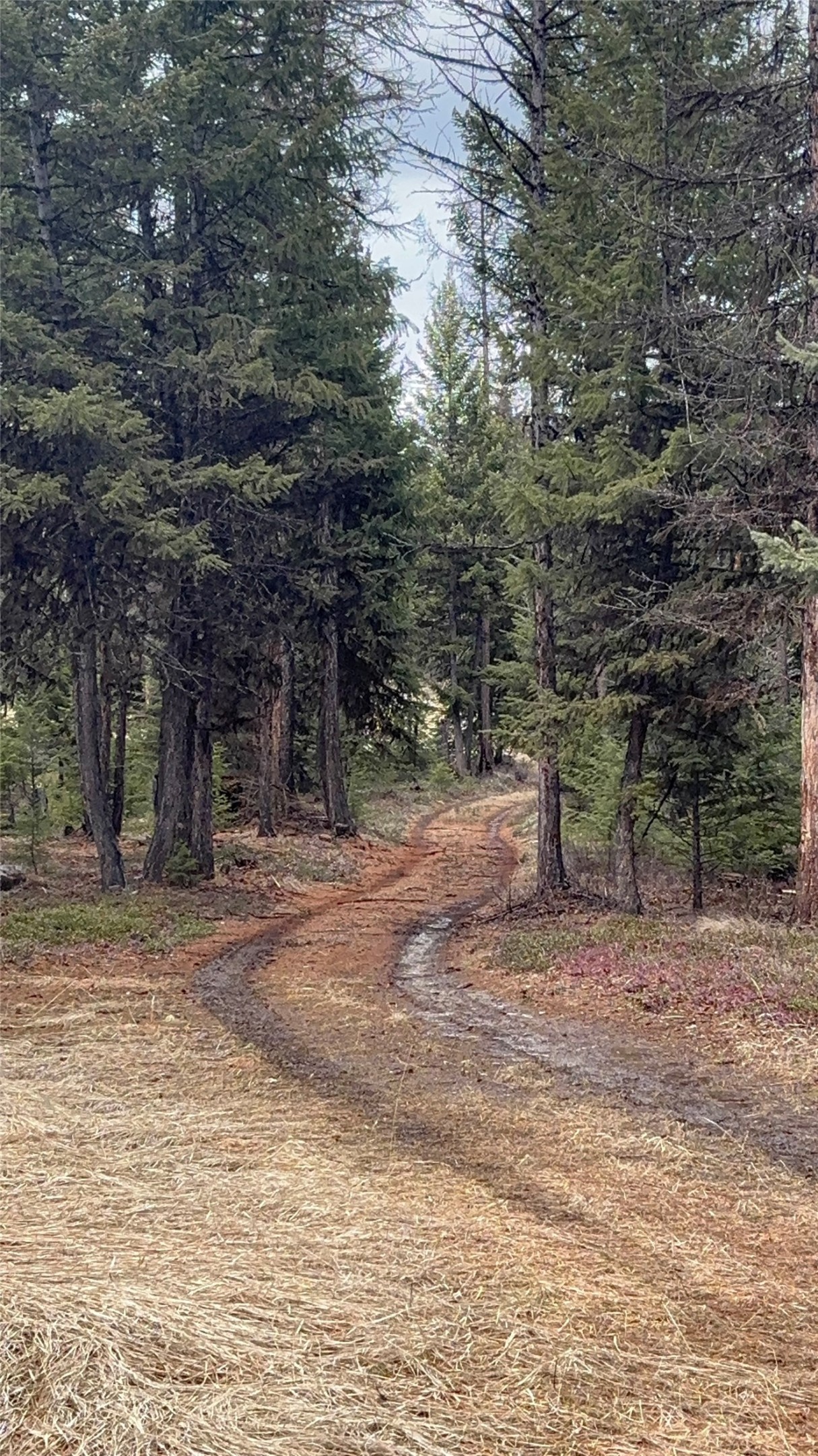 48 Slick Gulch Road