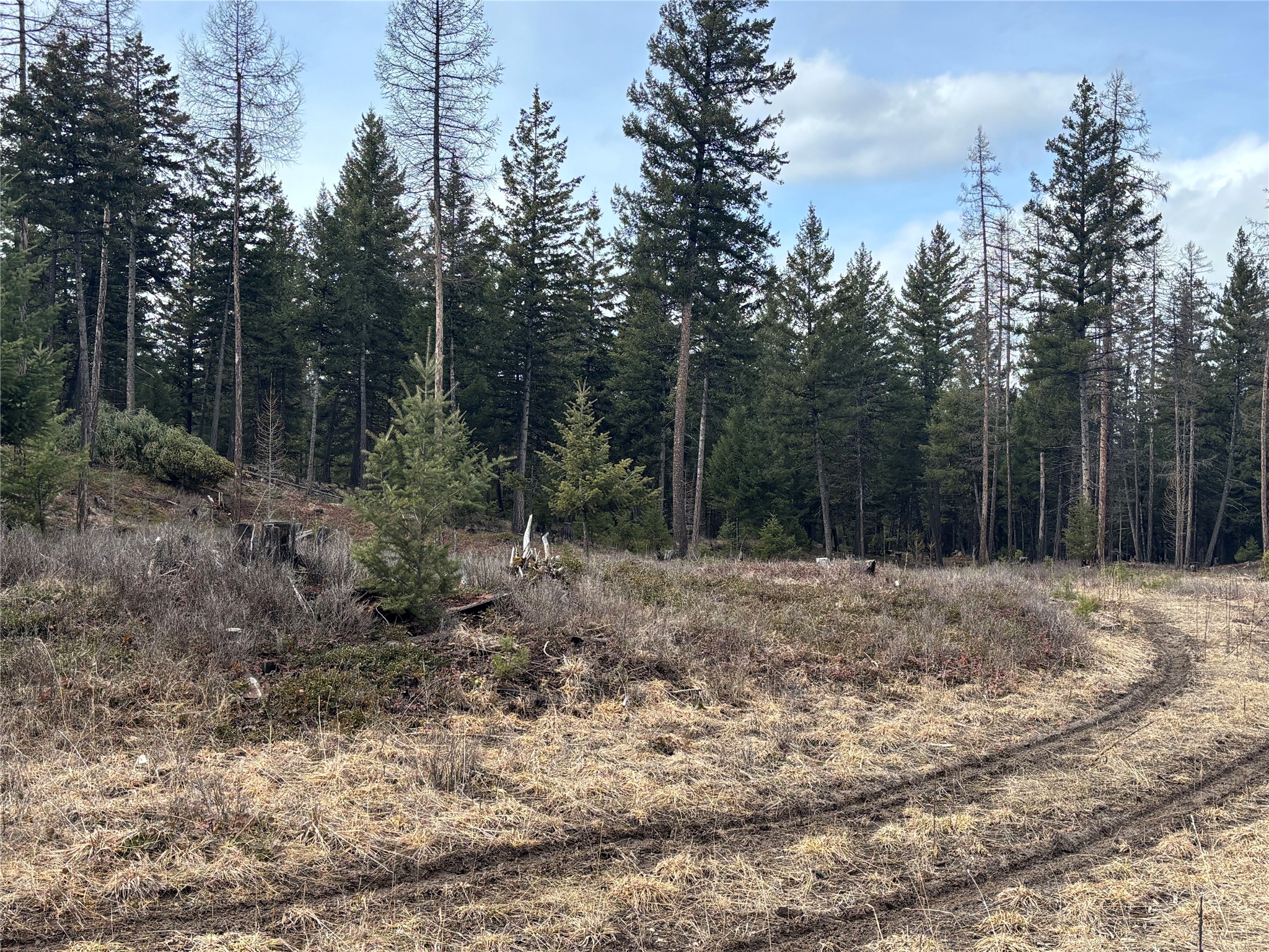 48 Slick Gulch Road