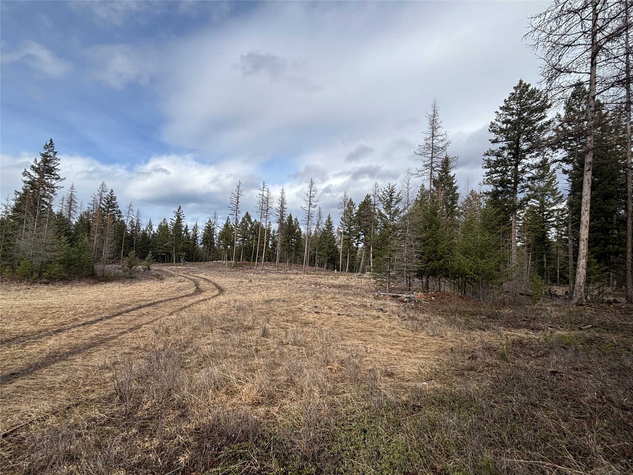 48 Slick Gulch Road