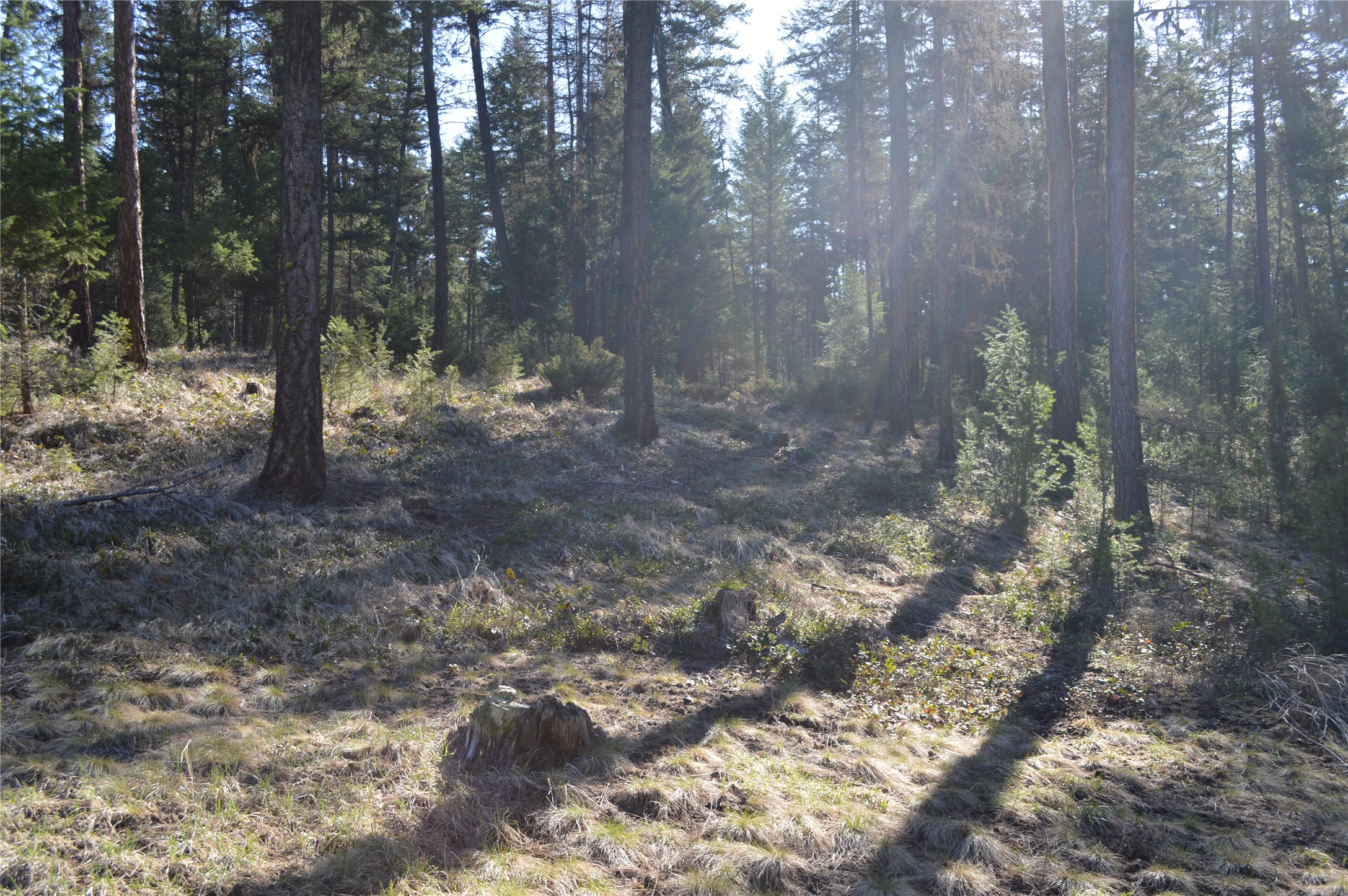 772 Rifle Range Road