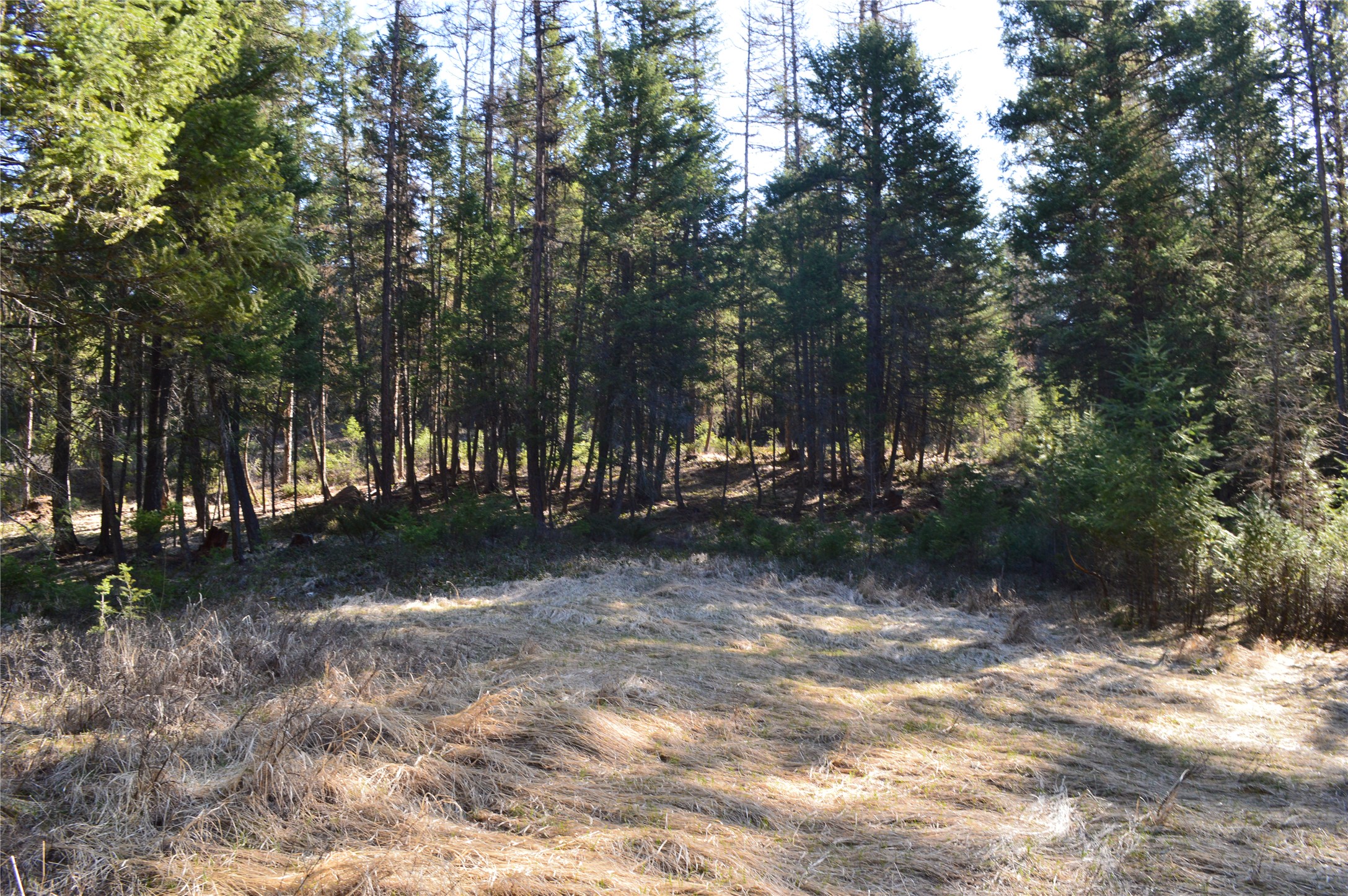 772 Rifle Range Road