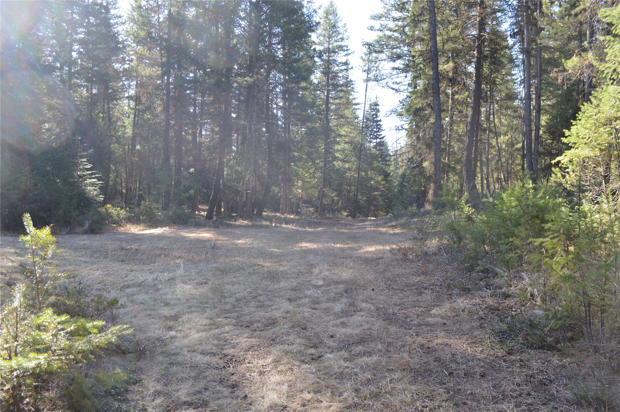 772 Rifle Range Road