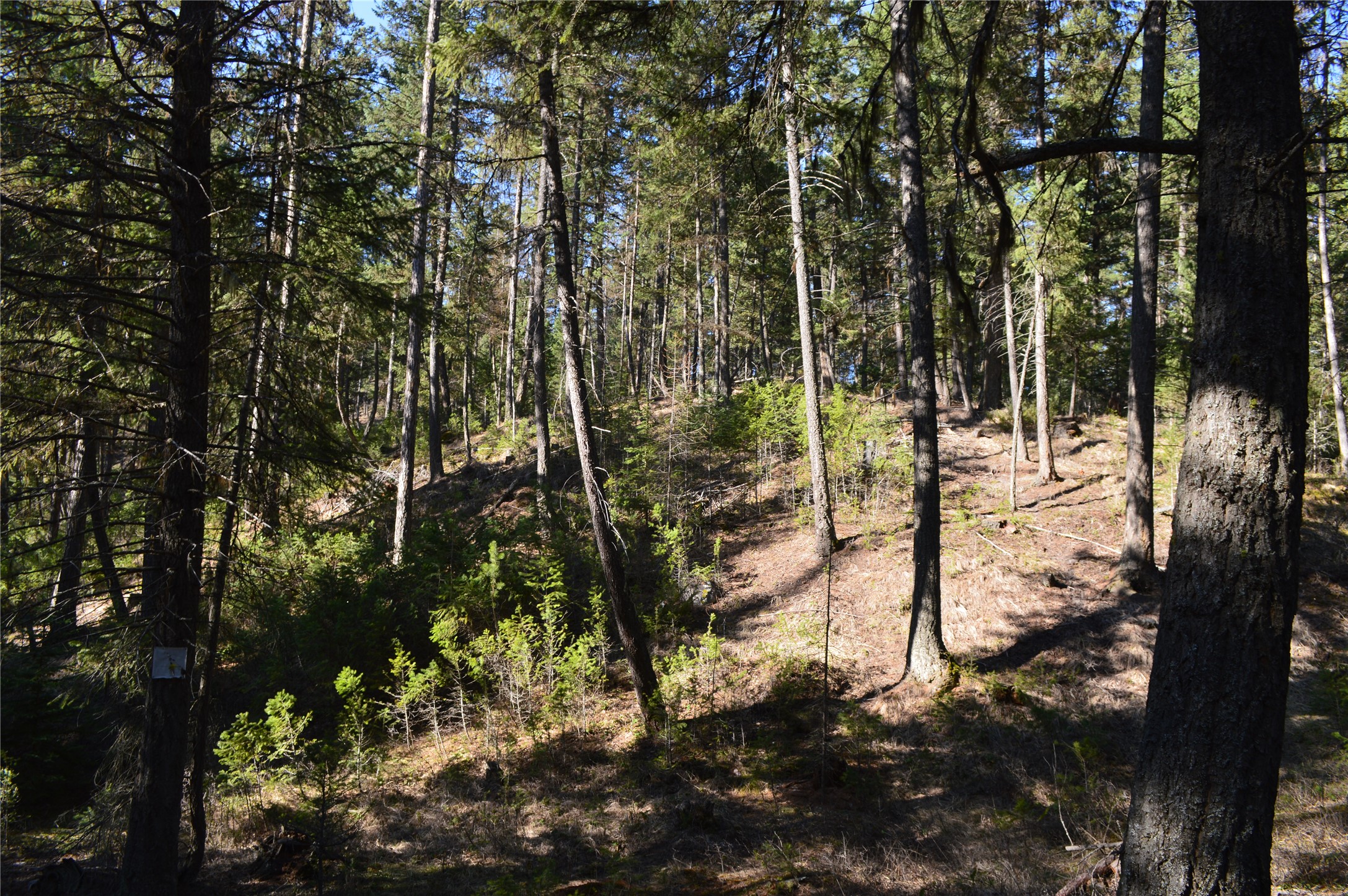 772 Rifle Range Road