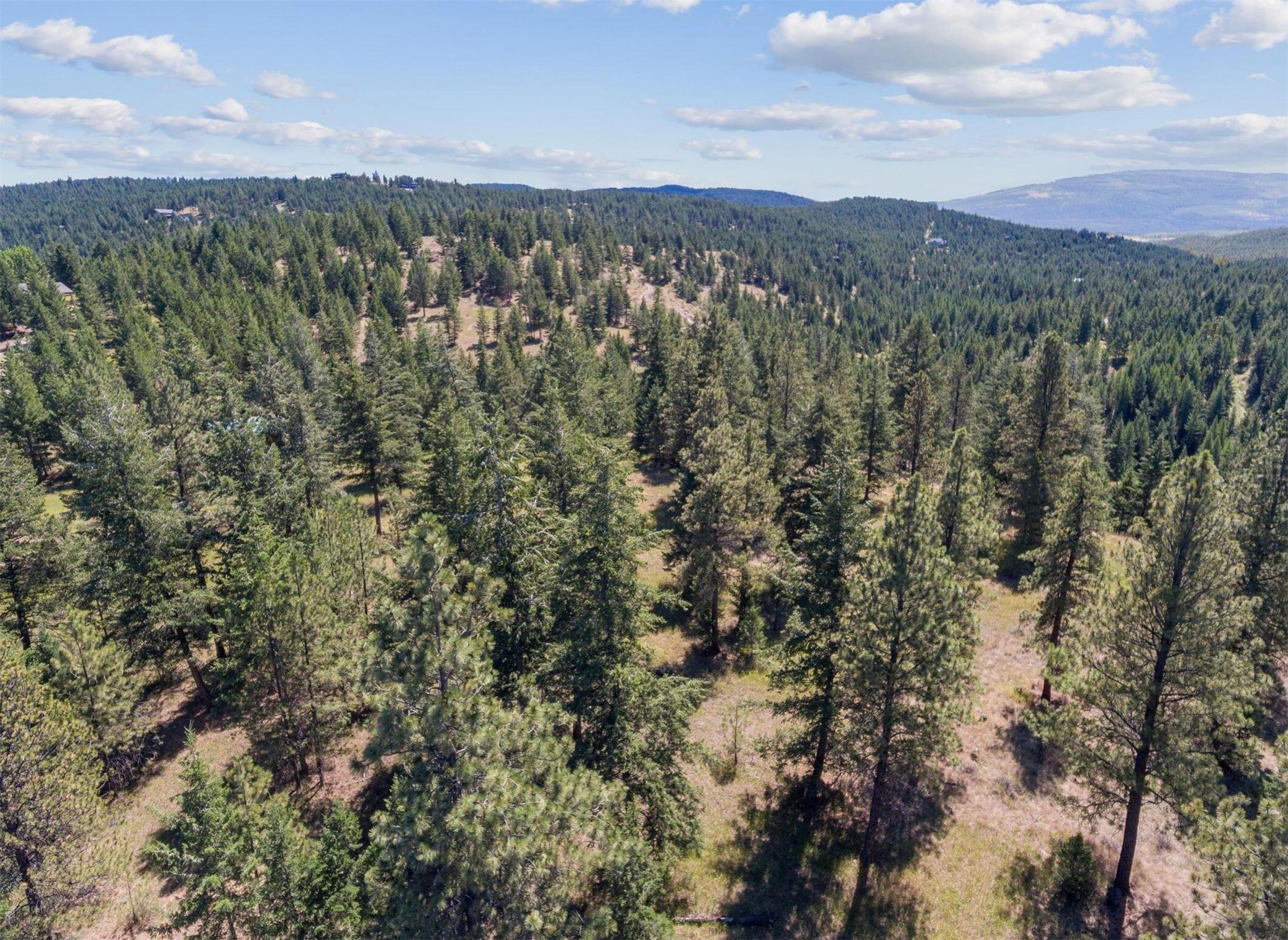 794 Bugling Elk Road