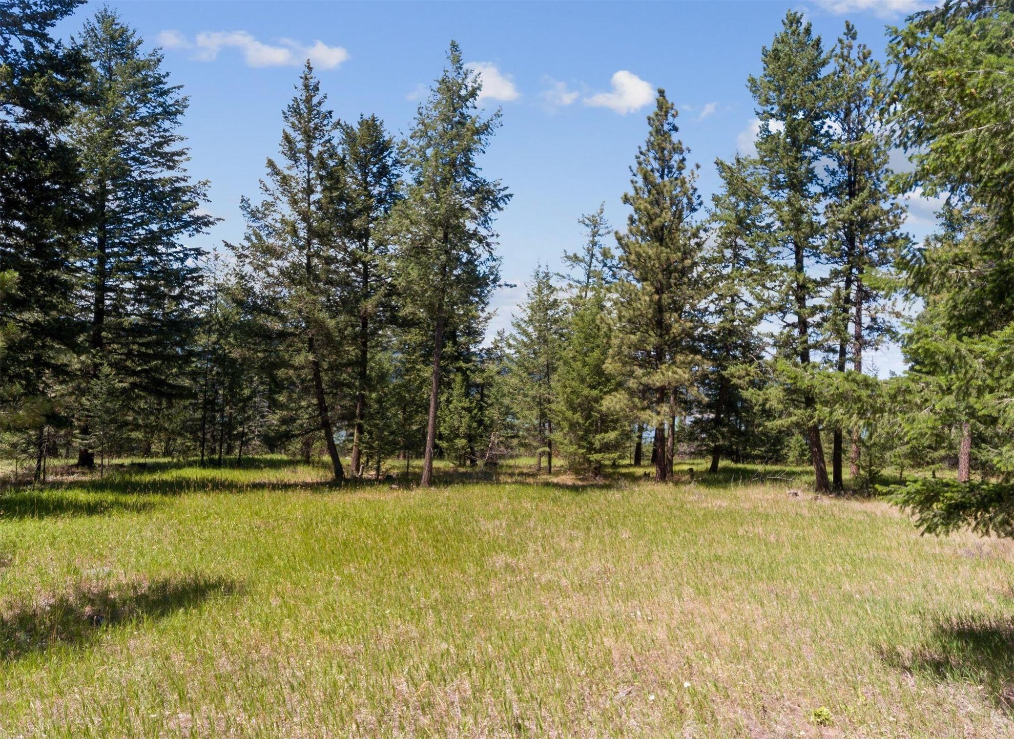 794 Bugling Elk Road