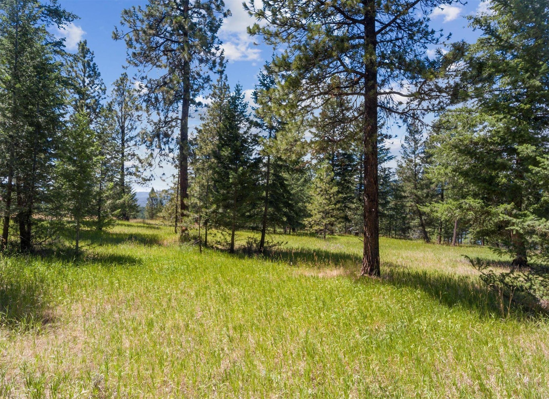 794 Bugling Elk Road